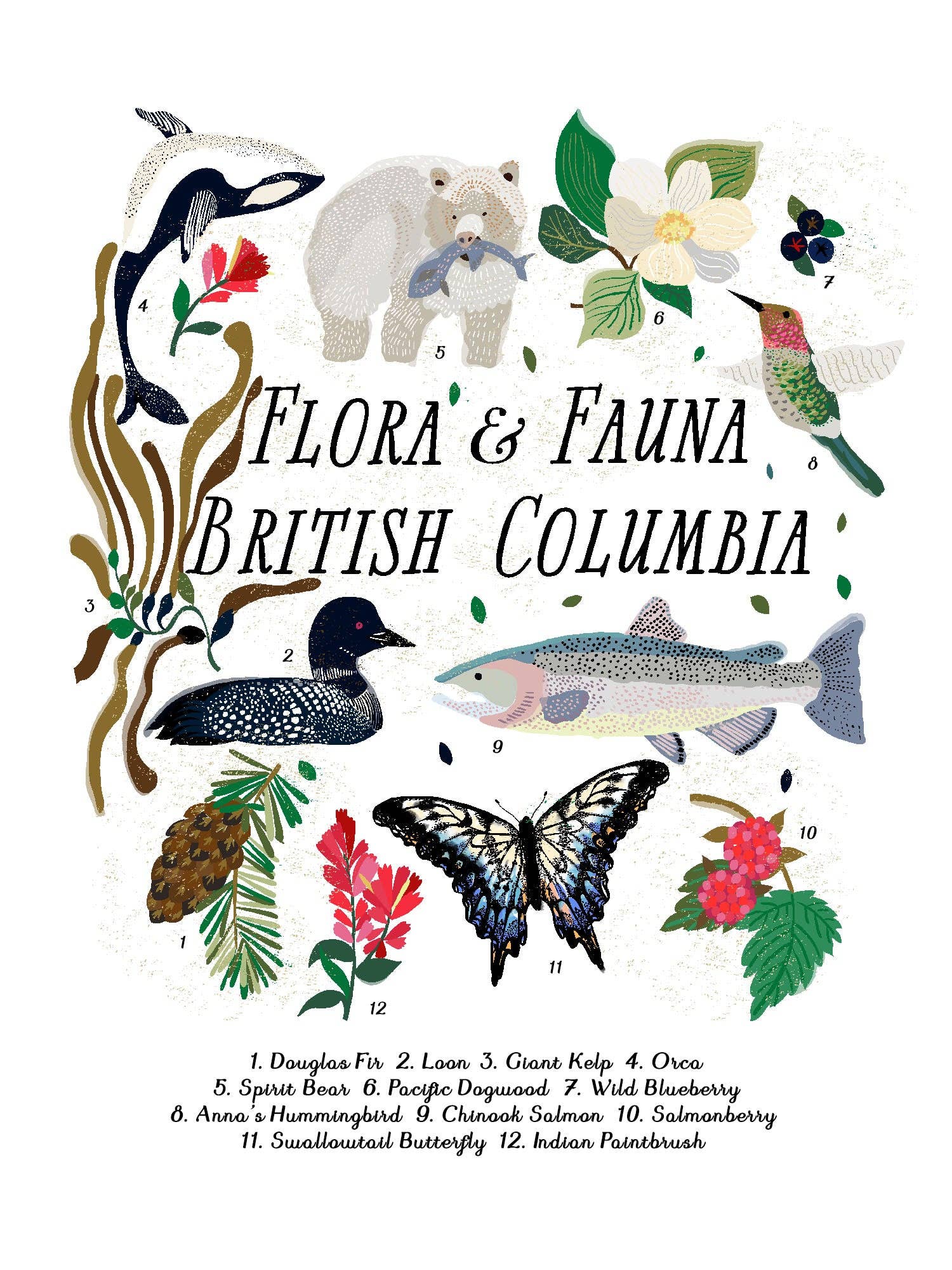 Art Print - Flora & Fauna of British Columbia