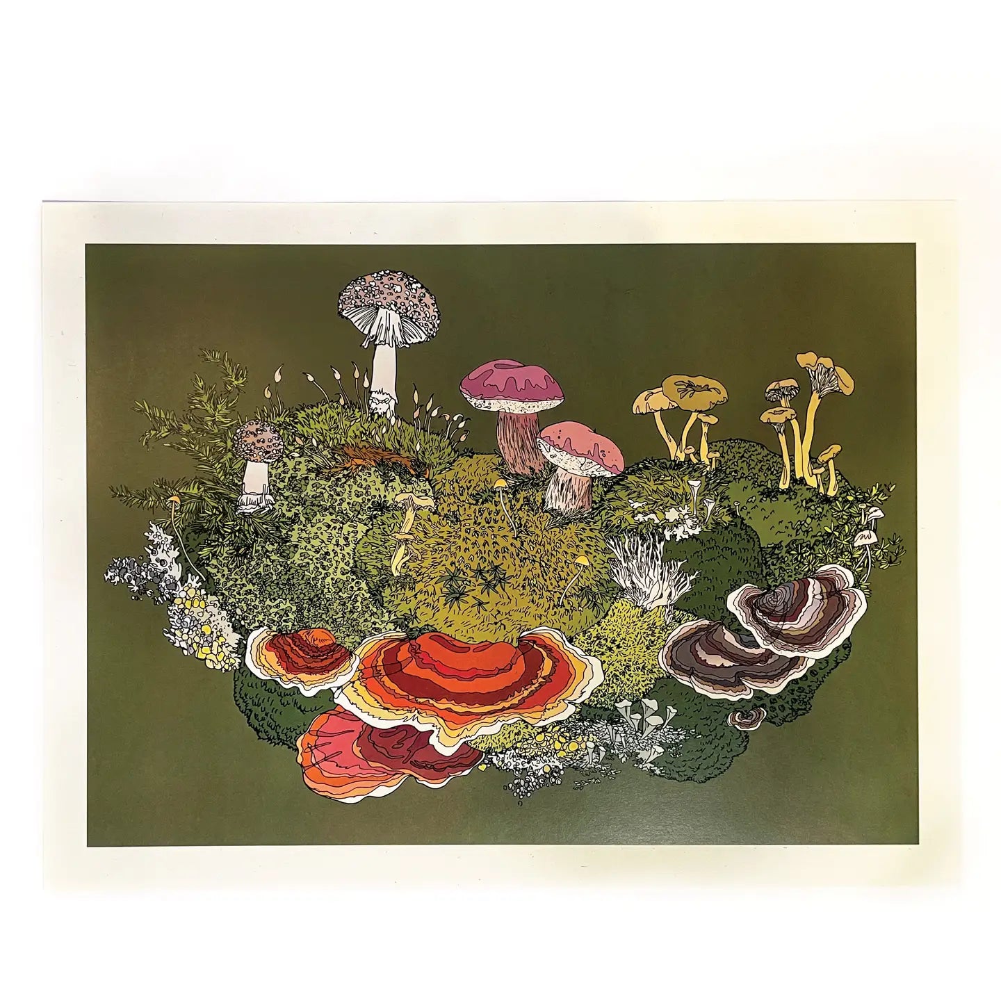 Art Print - Forest Fungi