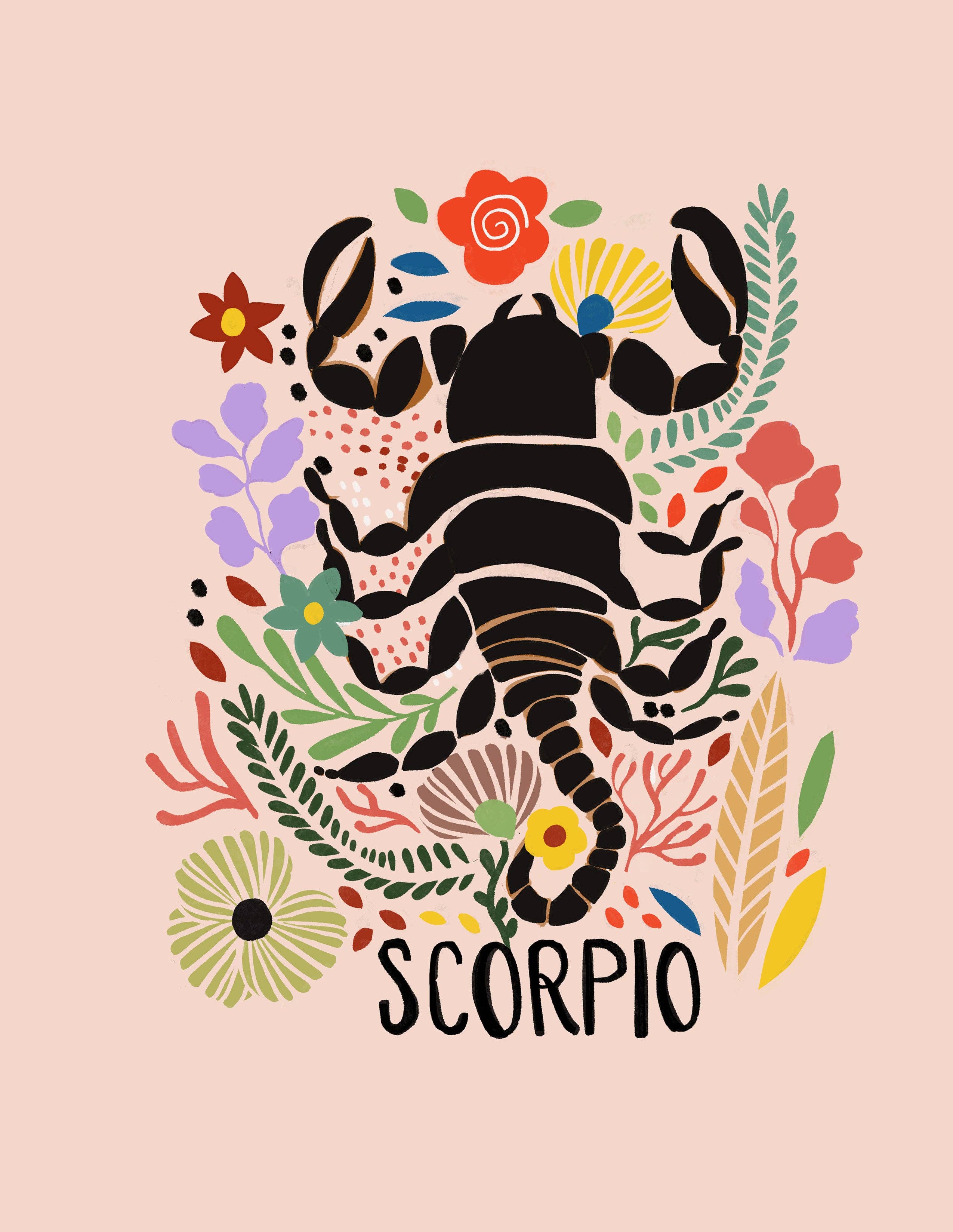 Greeting Card Set - Zodiac