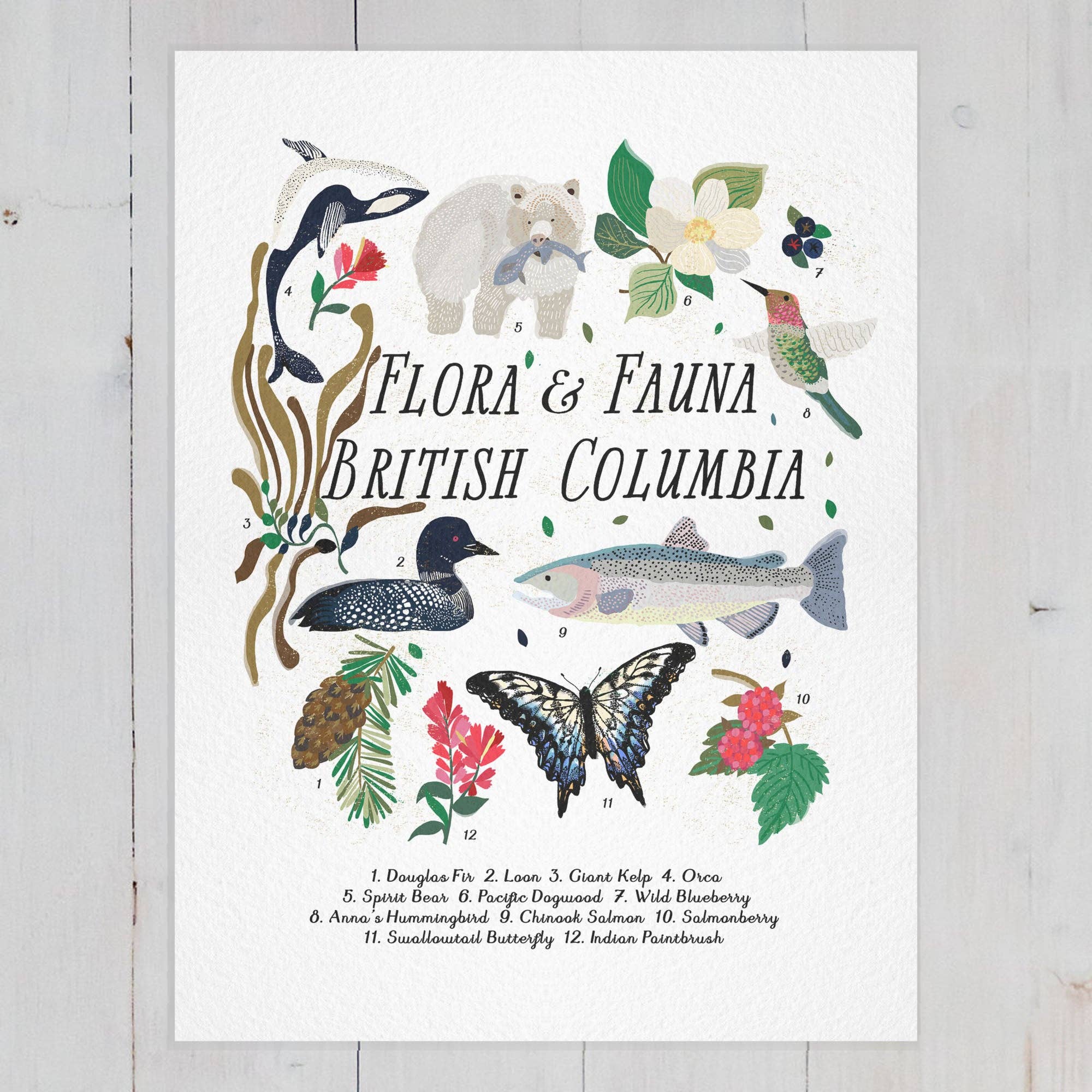 Art Print - Flora & Fauna of British Columbia