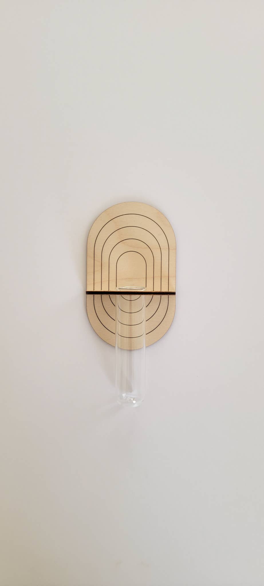 Floral Bouquet Propagation Wall Holder