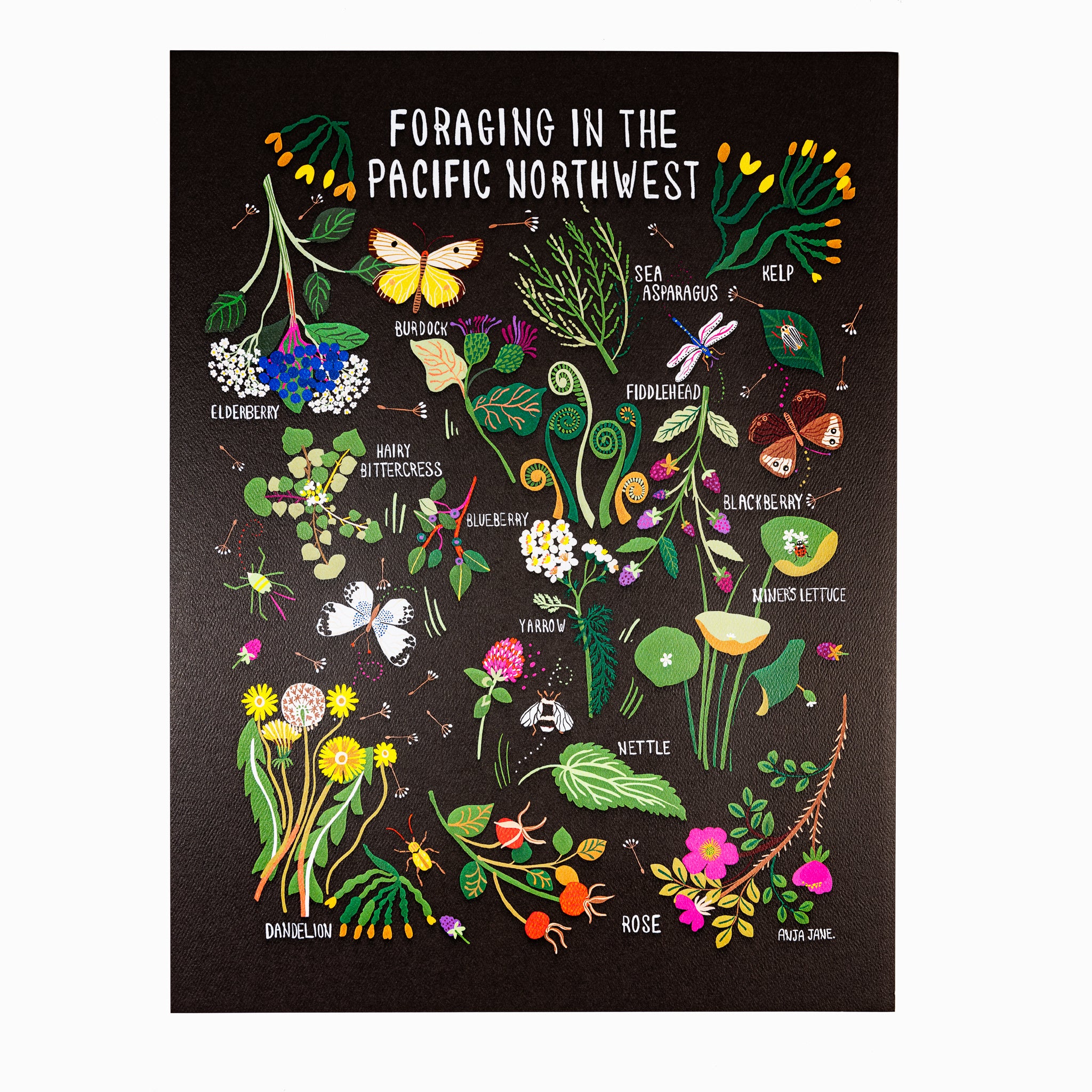 Art Print - Foraging in the Pacific Northwest