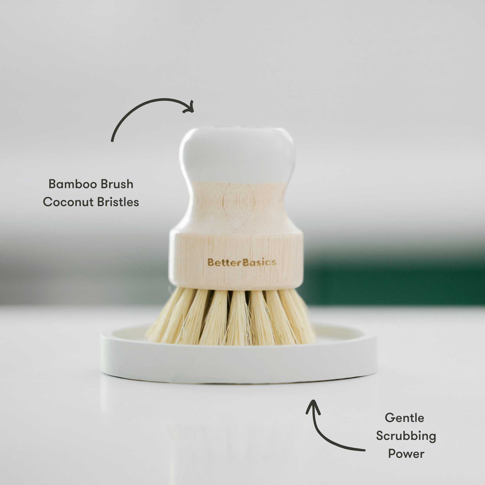 The Better Bristles Dish Brush