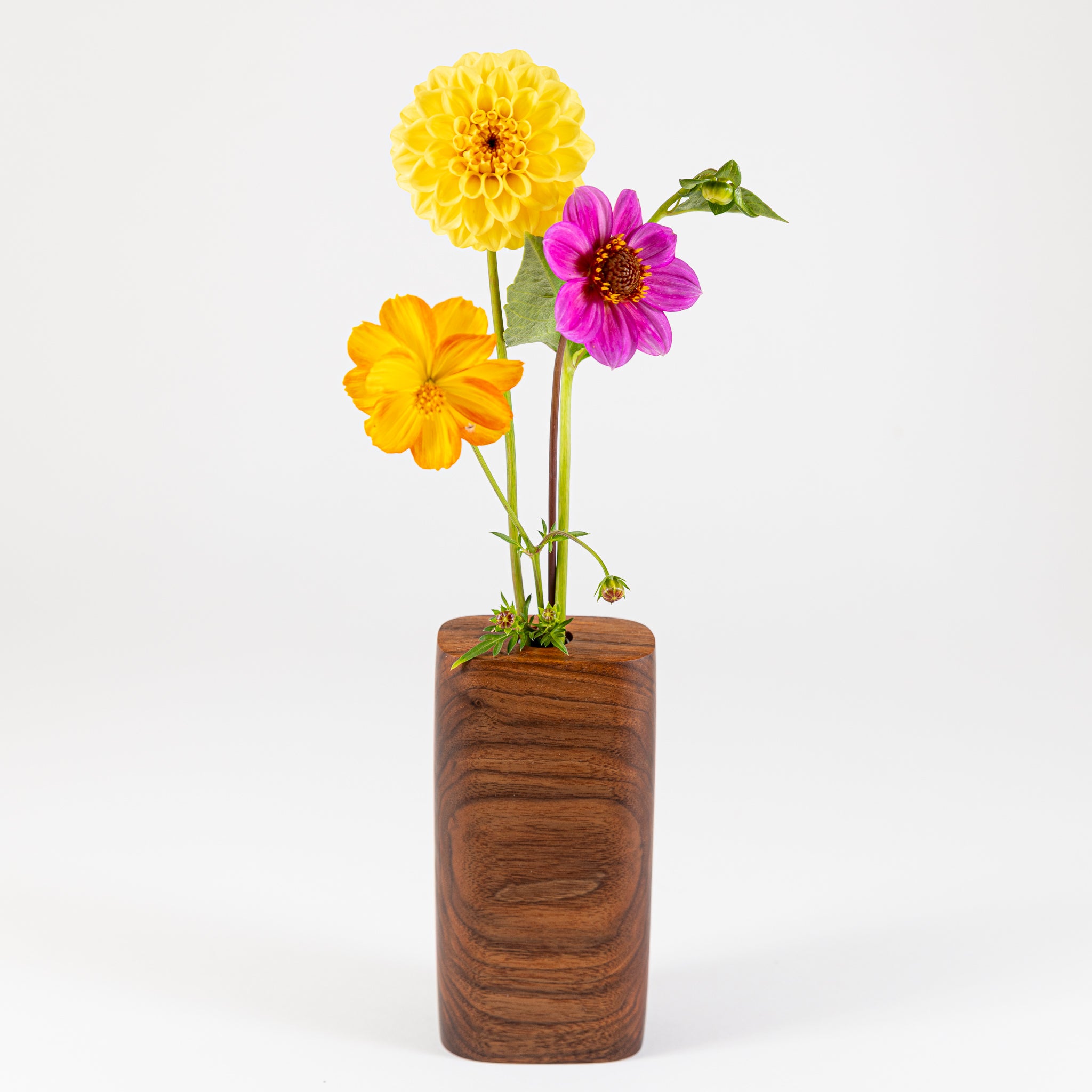 Vase - Minimalist Standing Wide