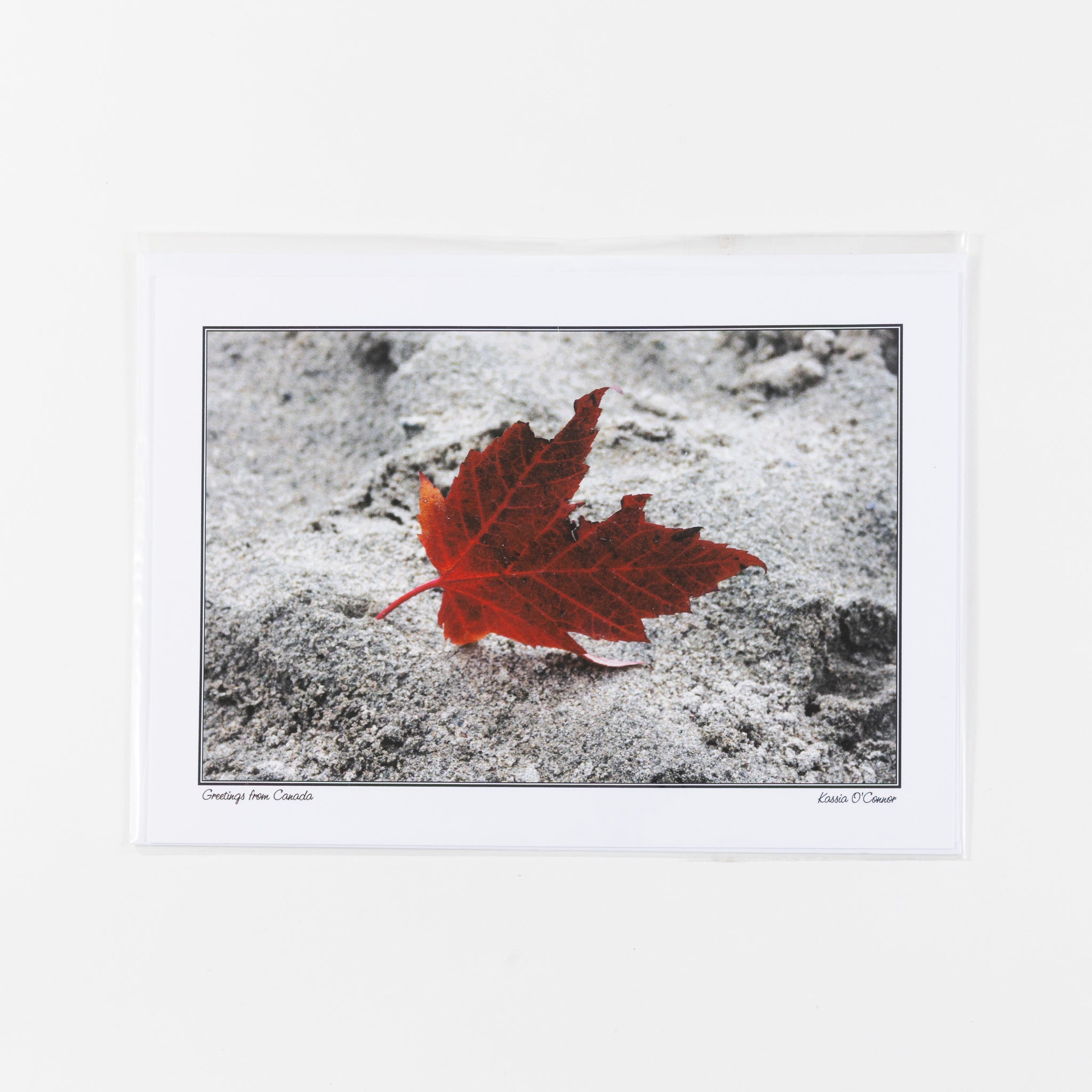 Greeting Card - Greetings from Canada
