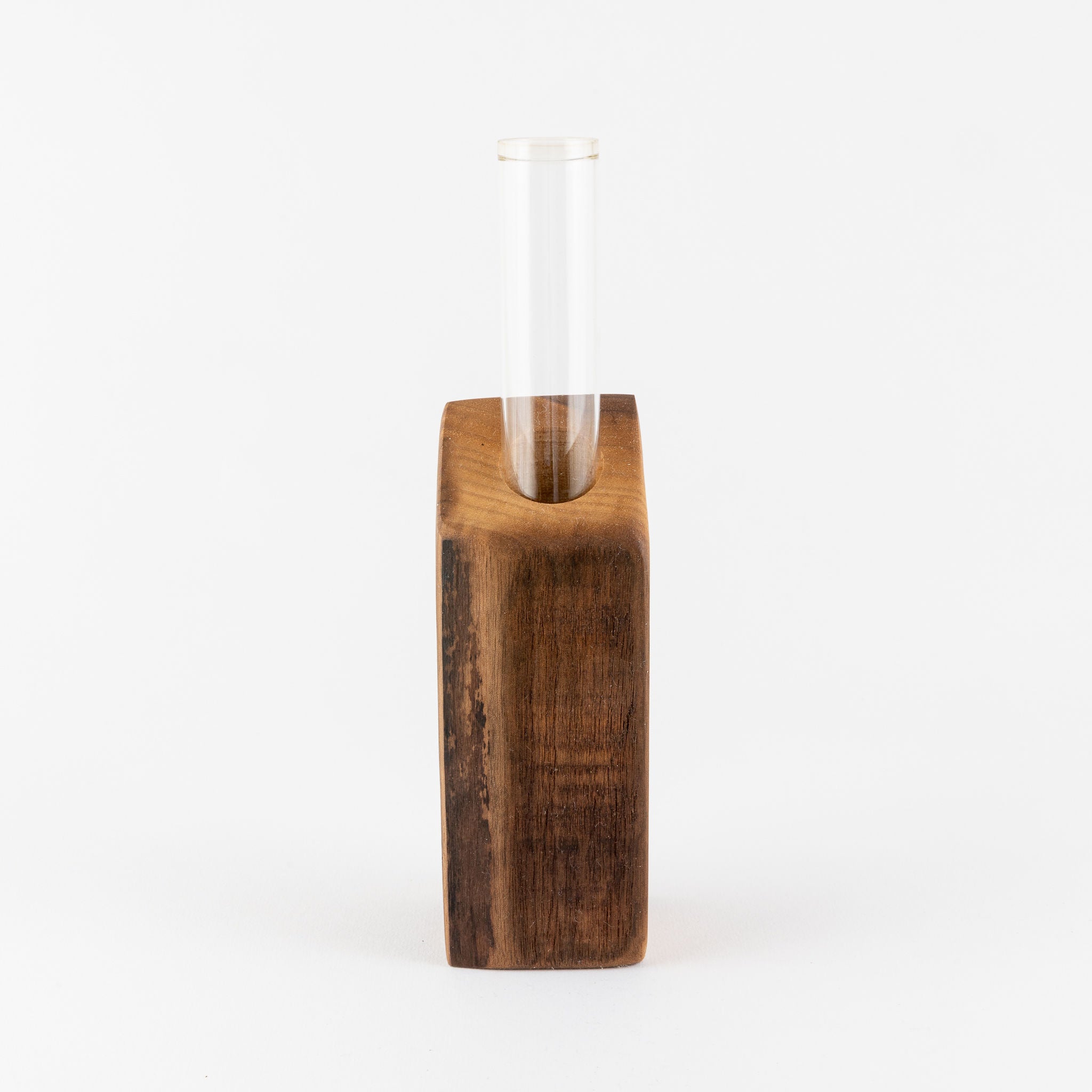Vase - Propagation Vase