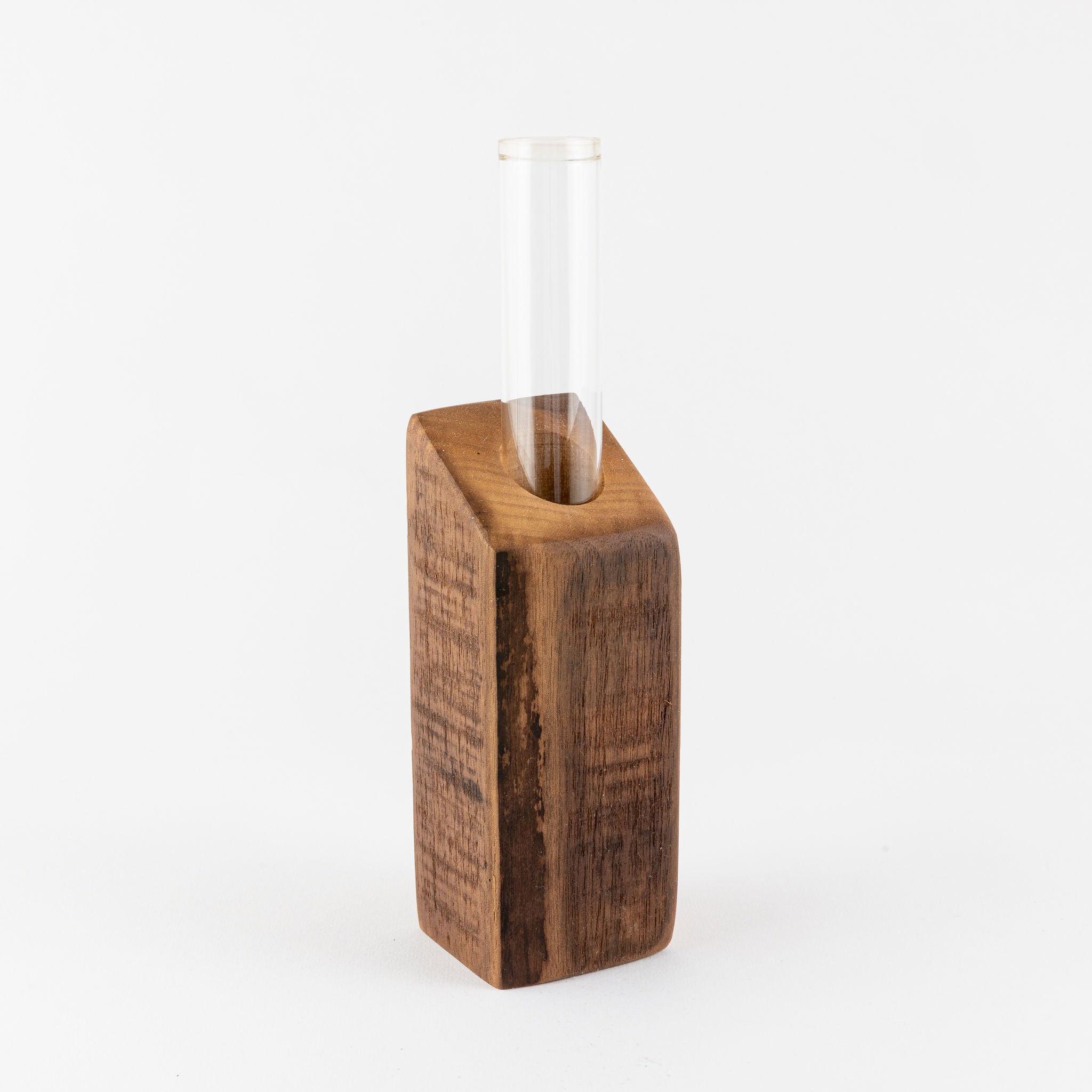 Vase - Propagation Vase