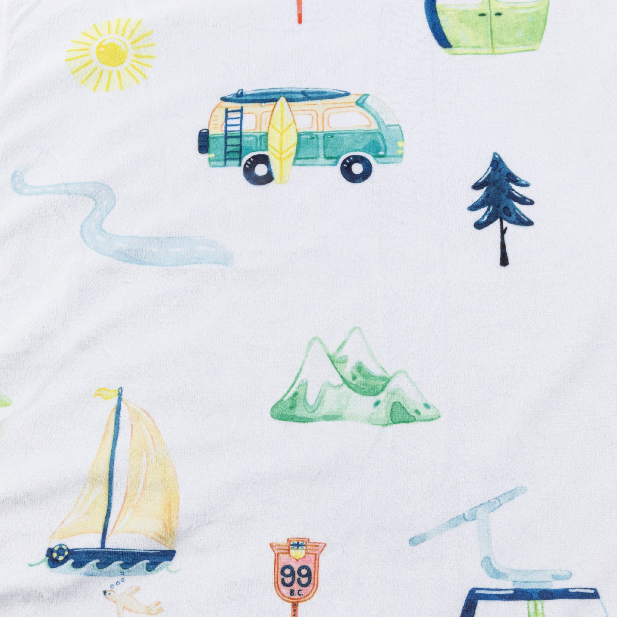 Minky blanket - SMALL