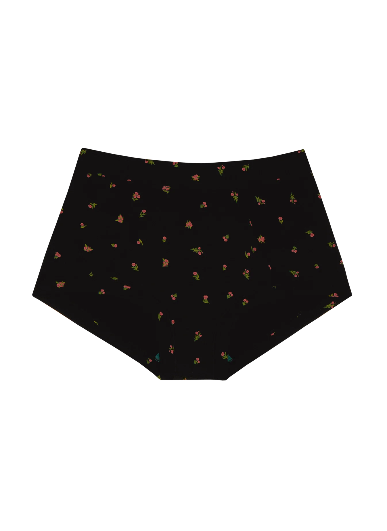 Brief Underwear