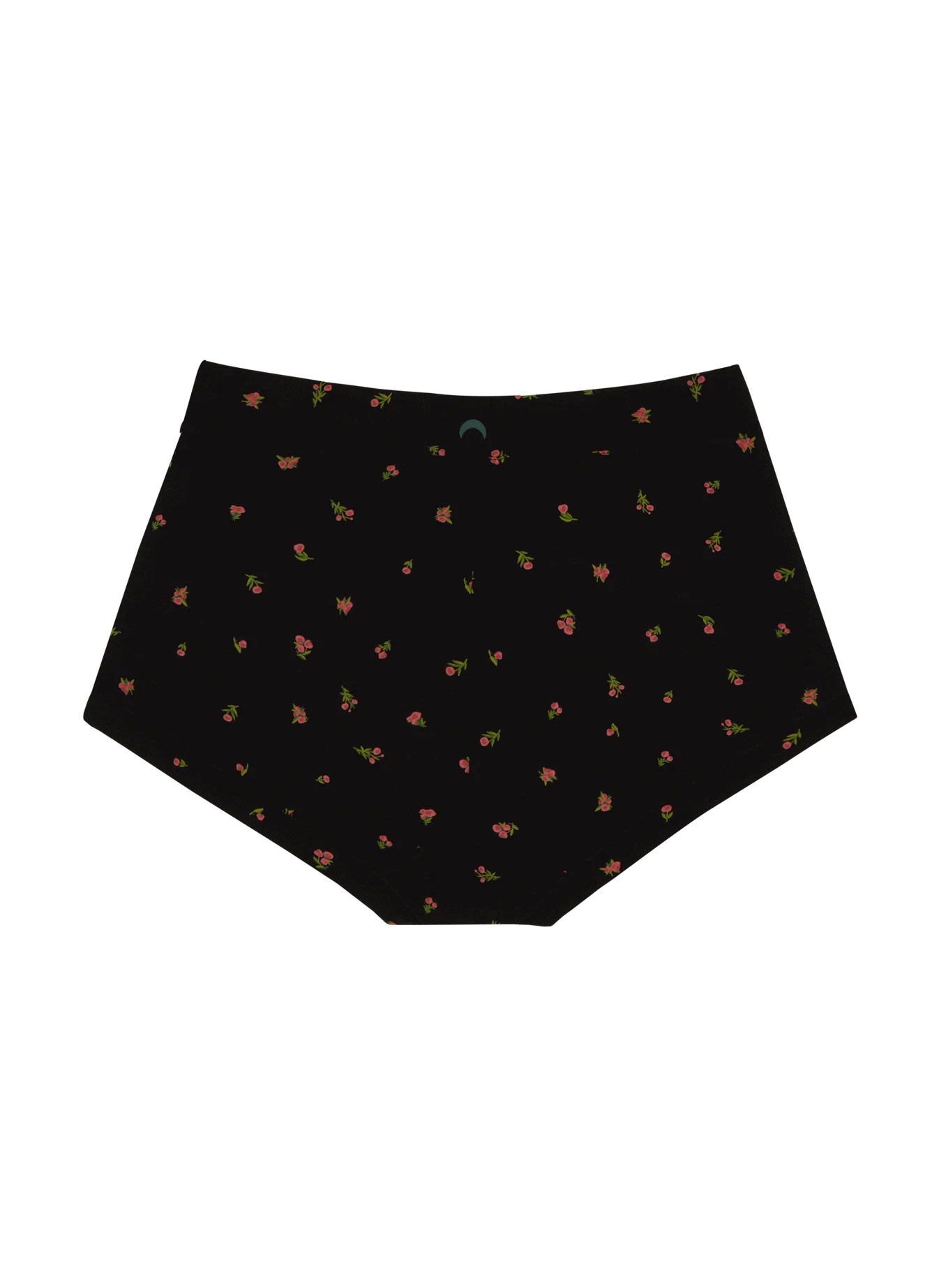 Brief Underwear