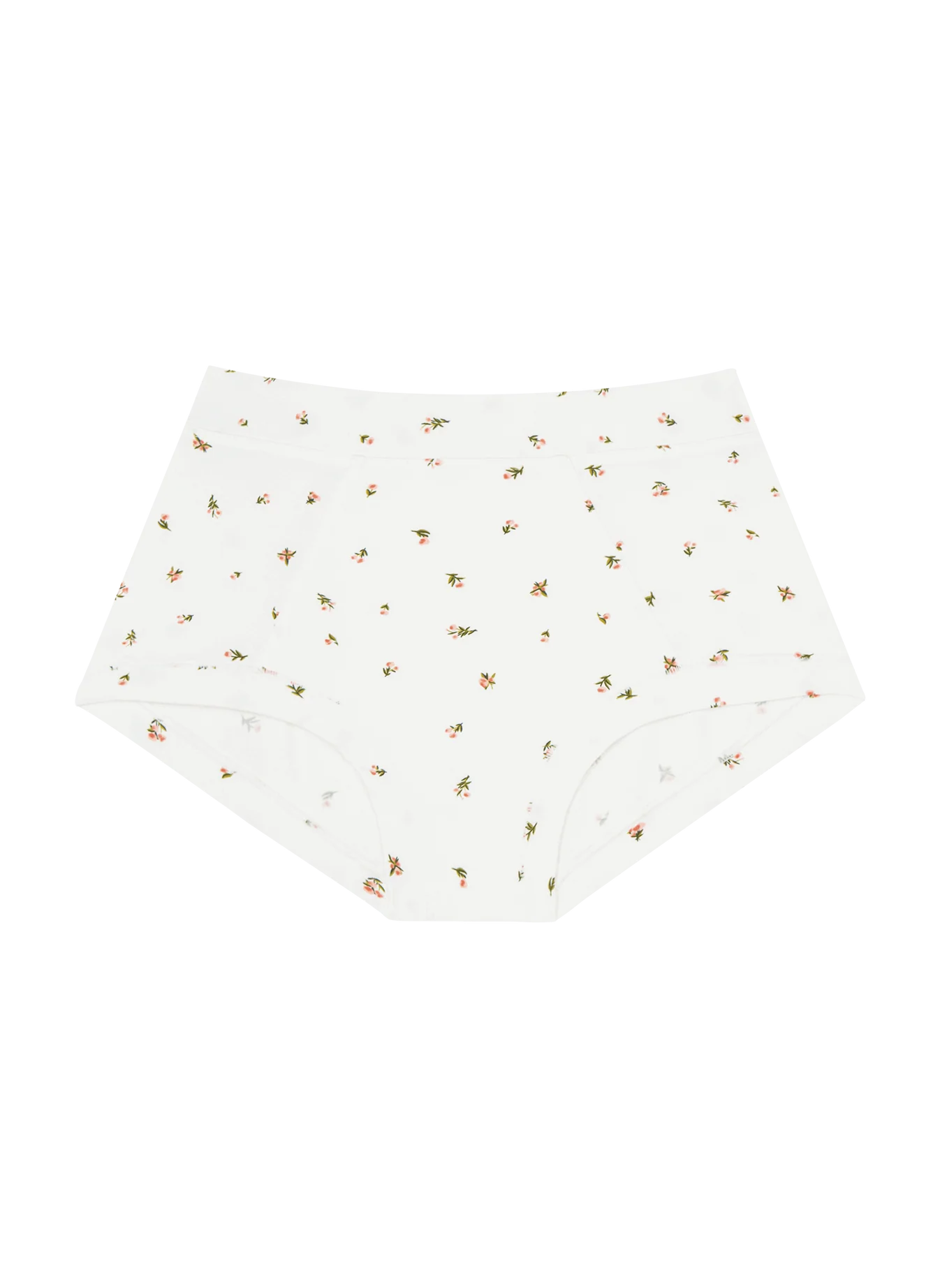 Brief Underwear