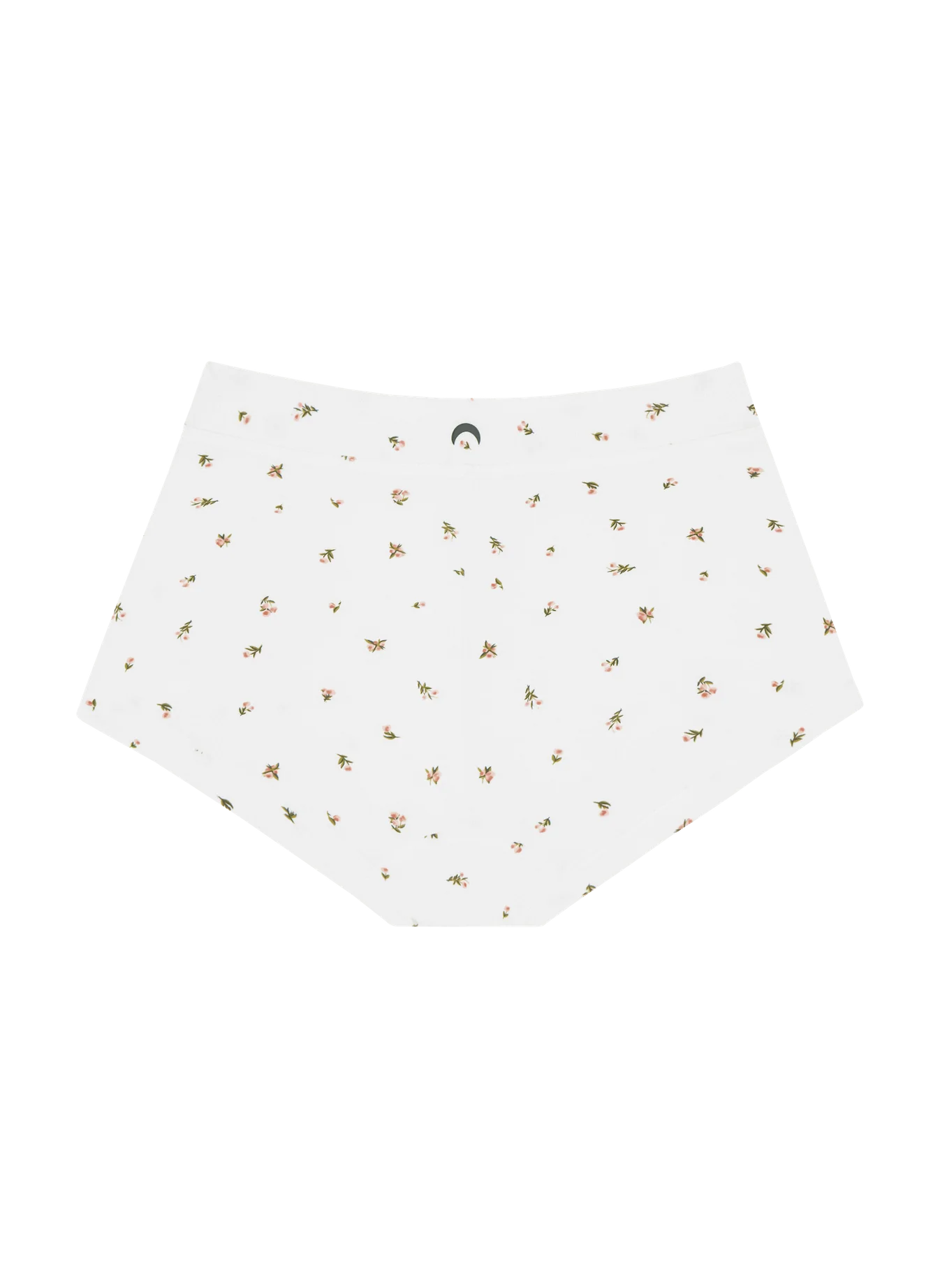 Brief Underwear