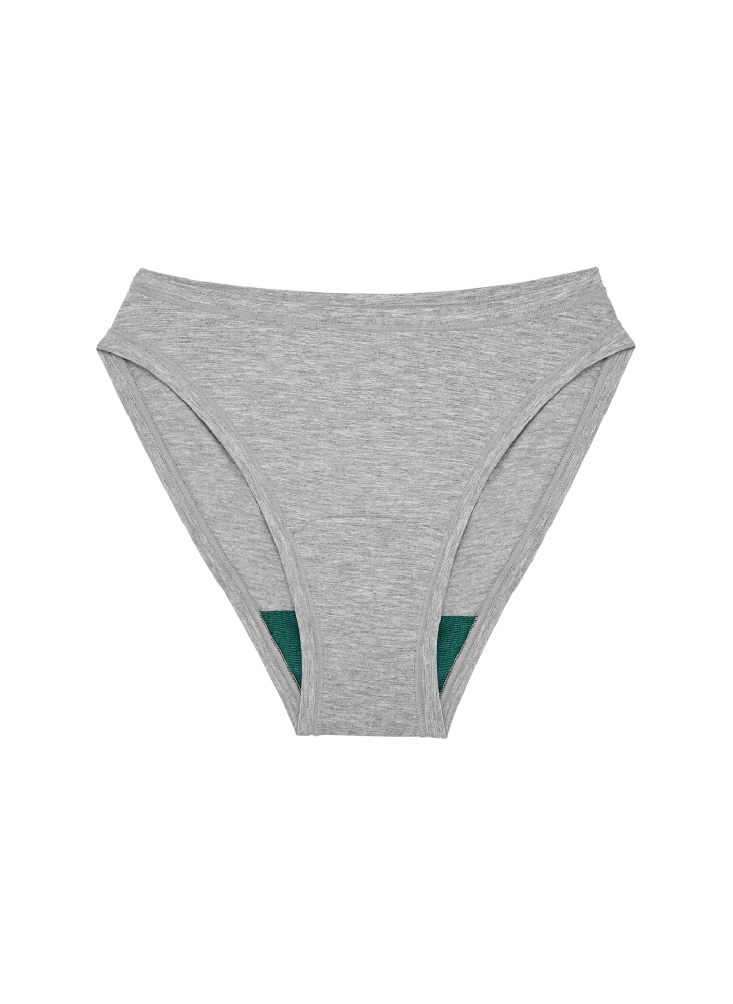 High Rise Bikini