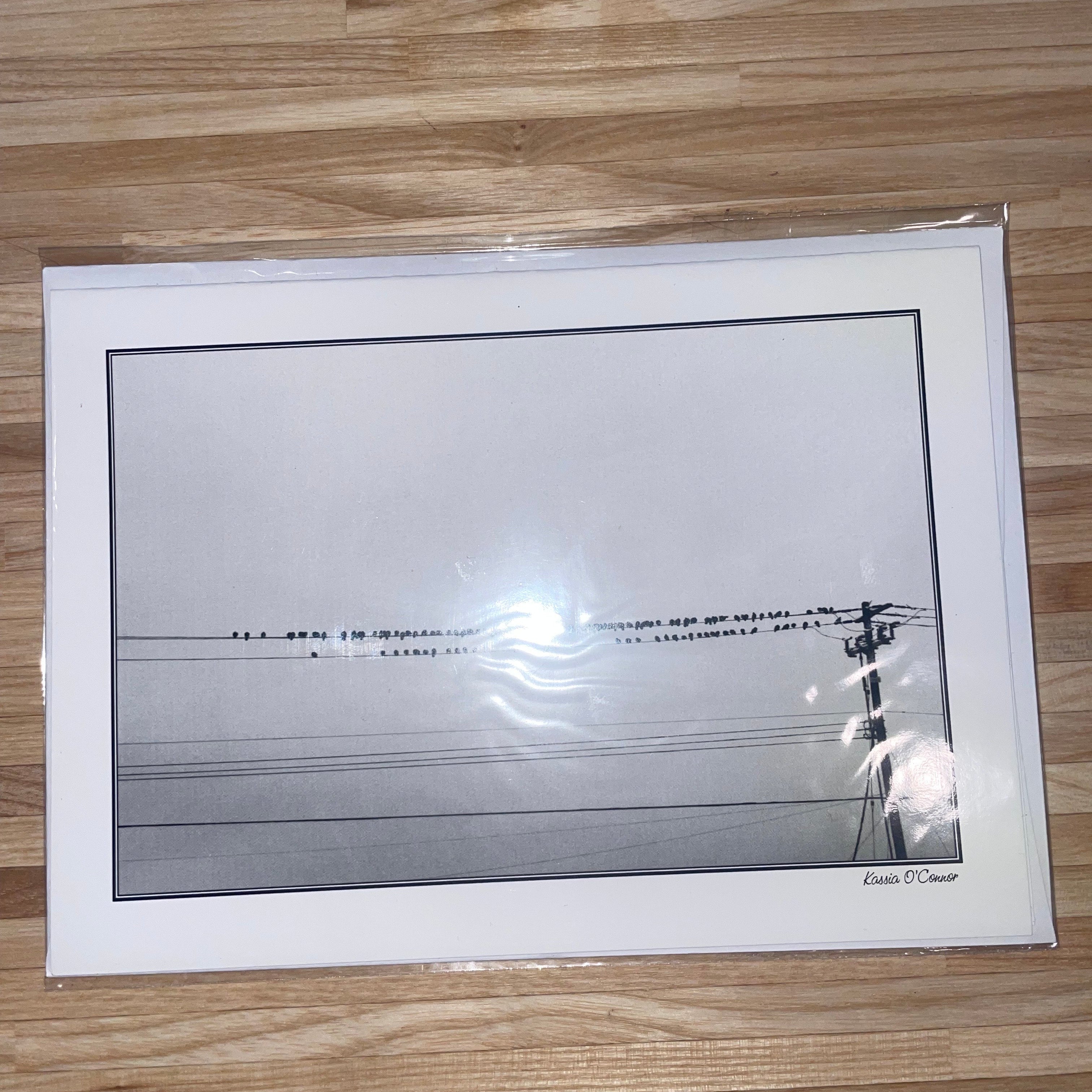 Greeting Card - Birds on a wire