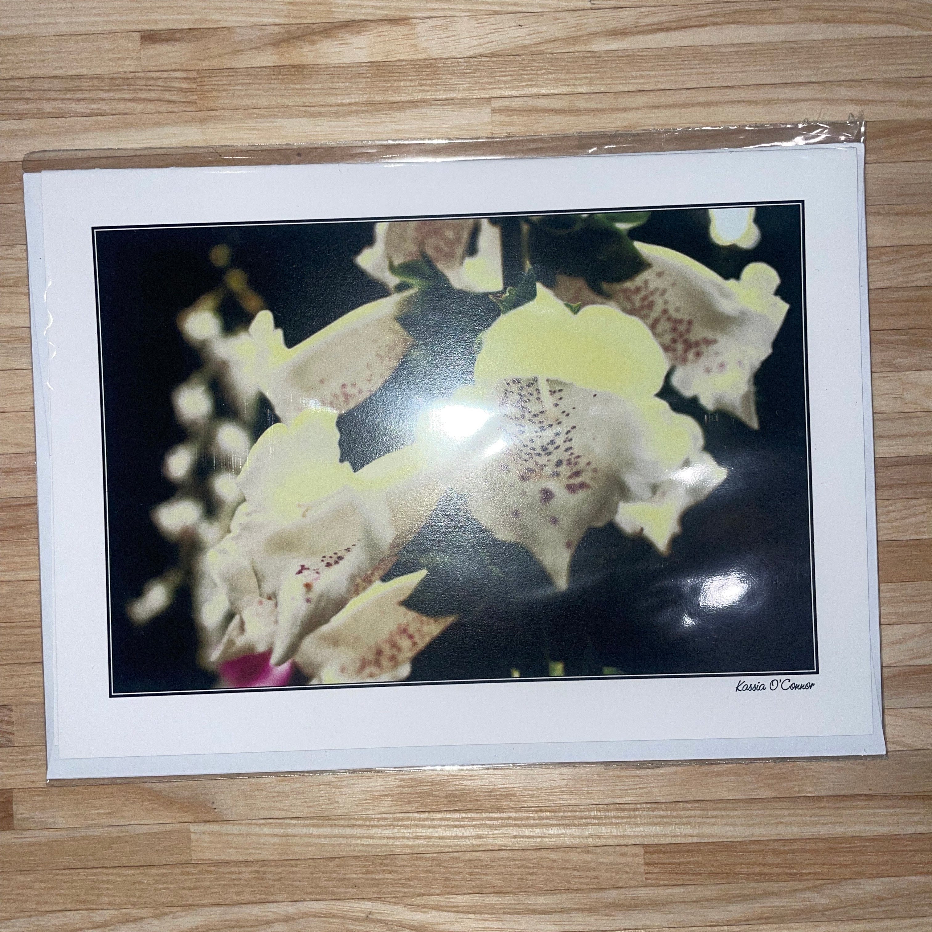 Greeting Card - Foxglove