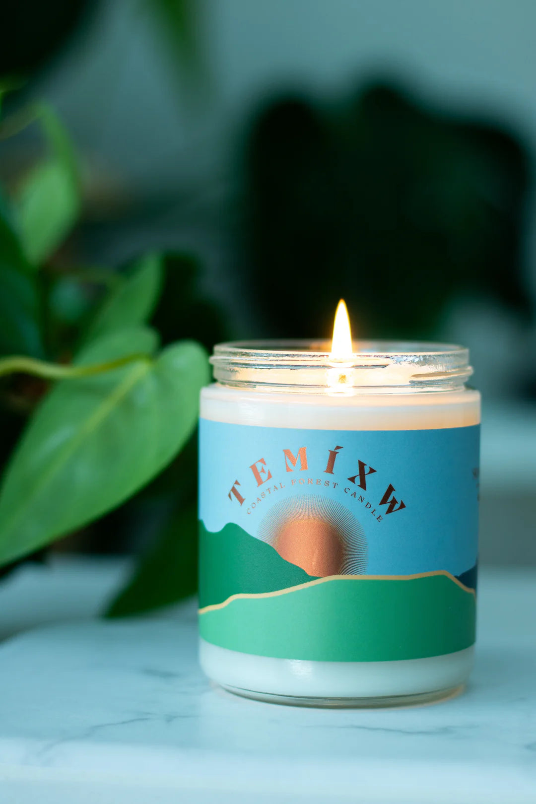 Temíxw Coastal Forest Candle