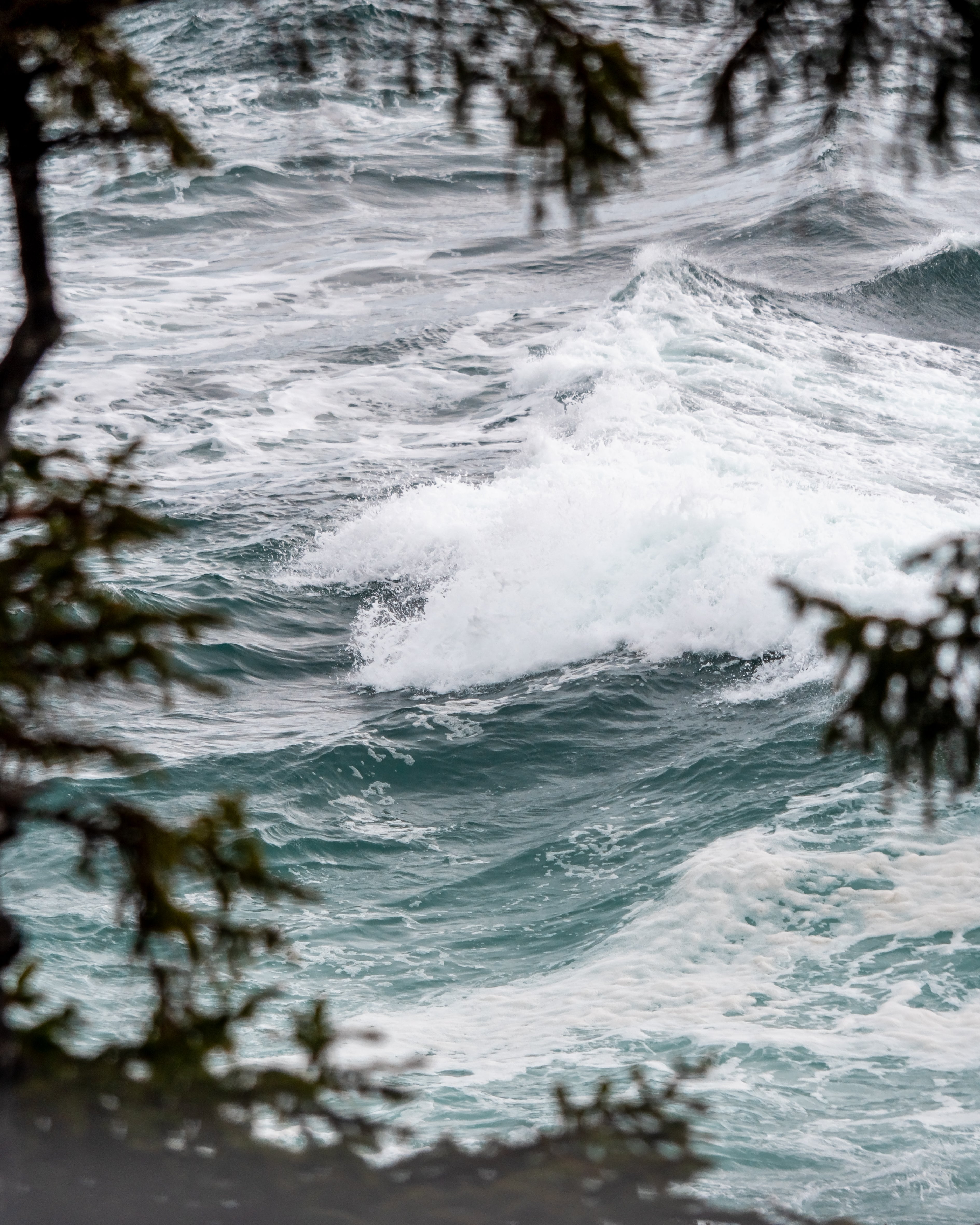 ROAM Ucluelet Candle
