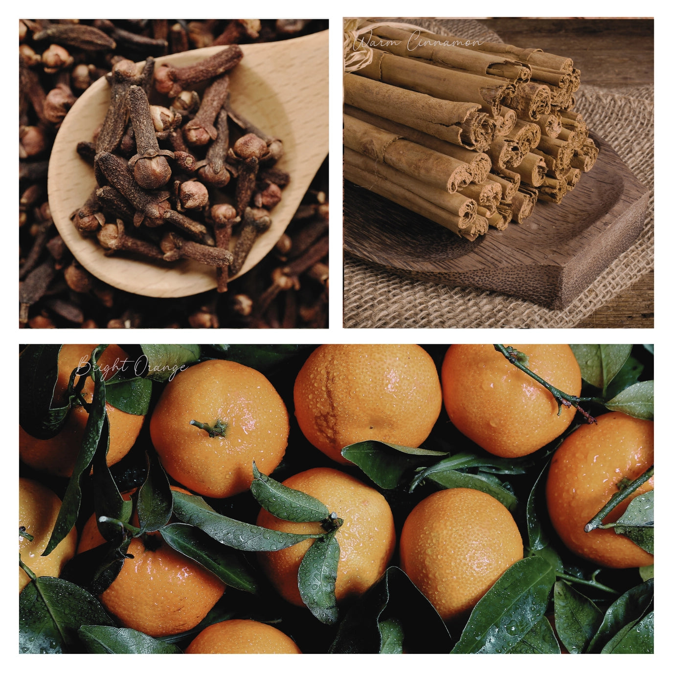 Be Merry Simmer Mist | Natural Holiday Spice Room + Linen Spray
