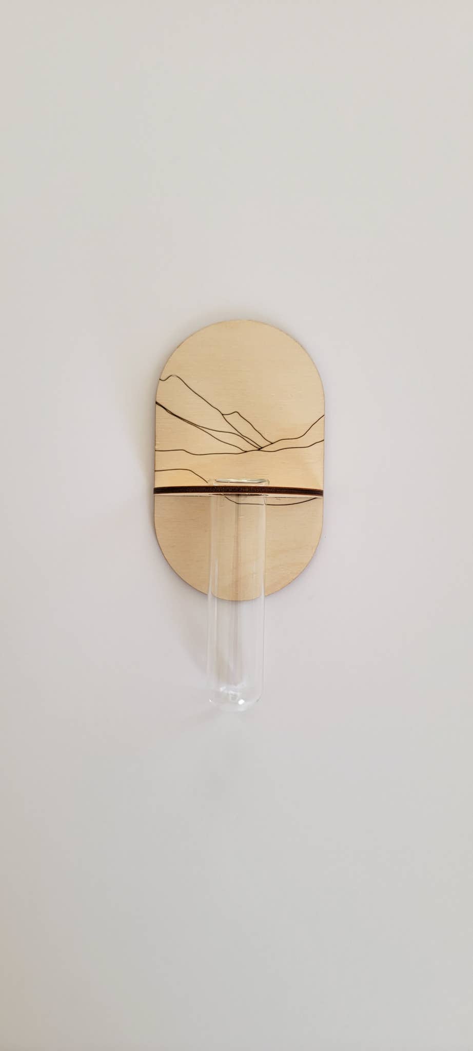 Floral Bouquet Propagation Wall Holder