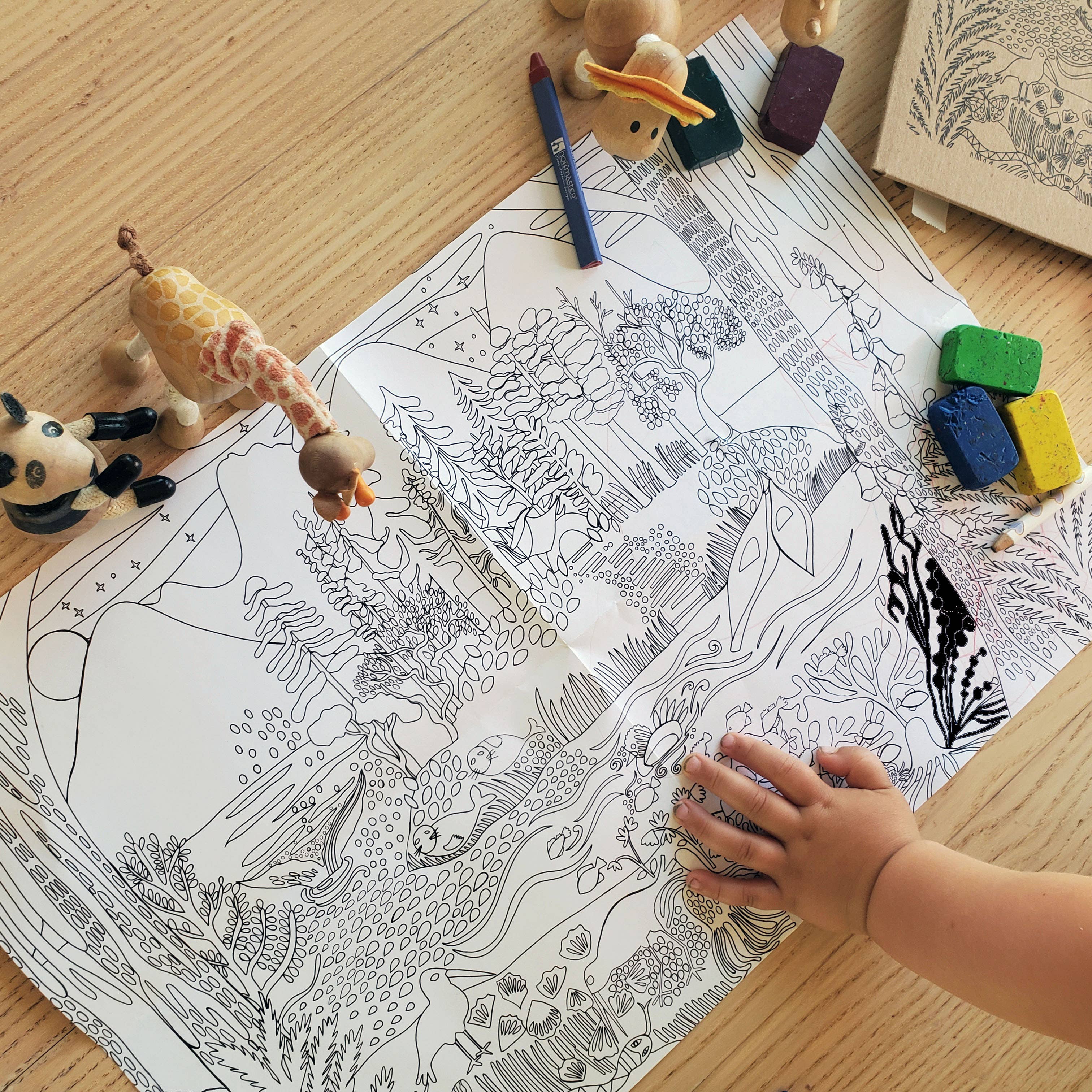 Colouring Poster - Pacific Northwest