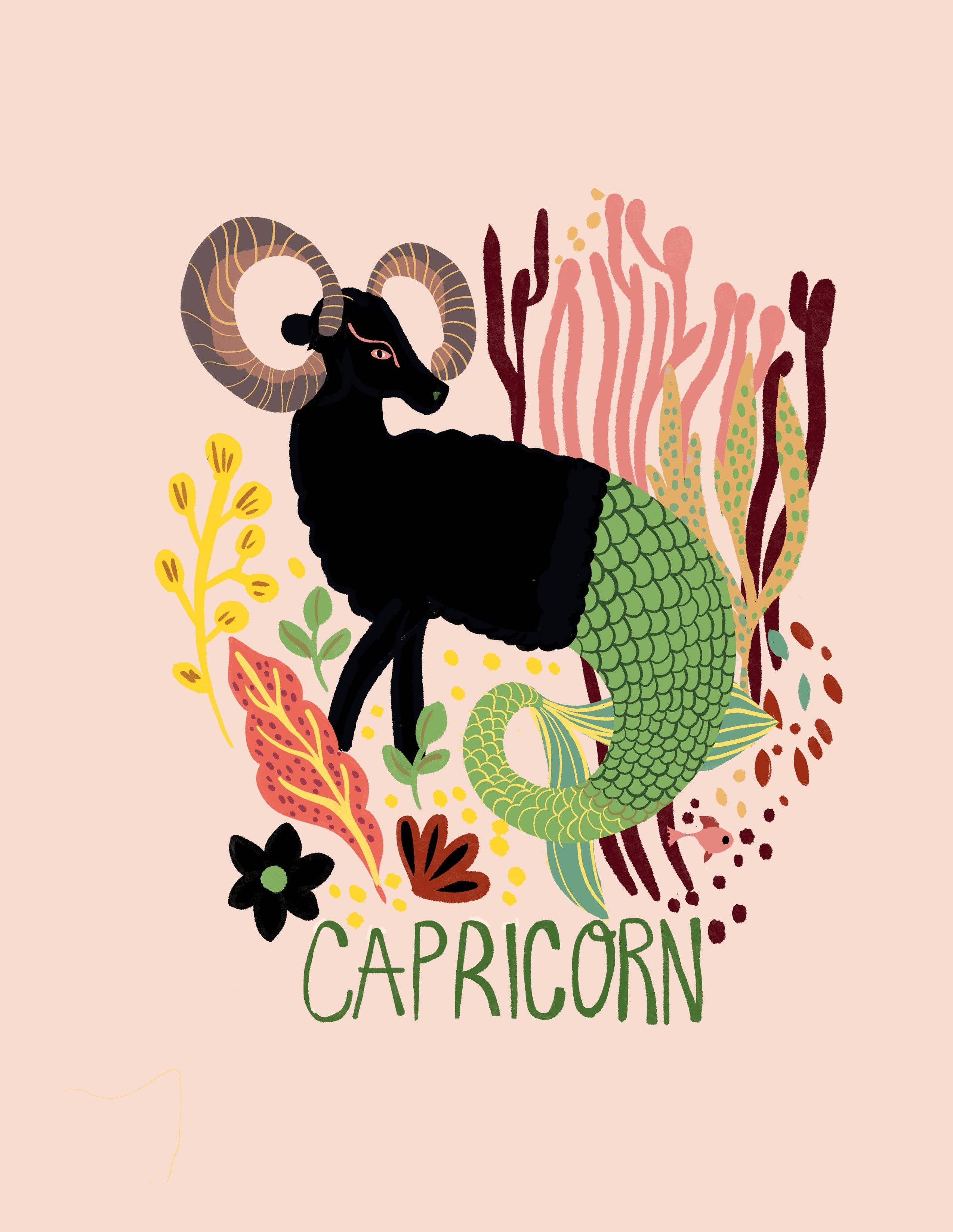 Greeting Card Set - Zodiac