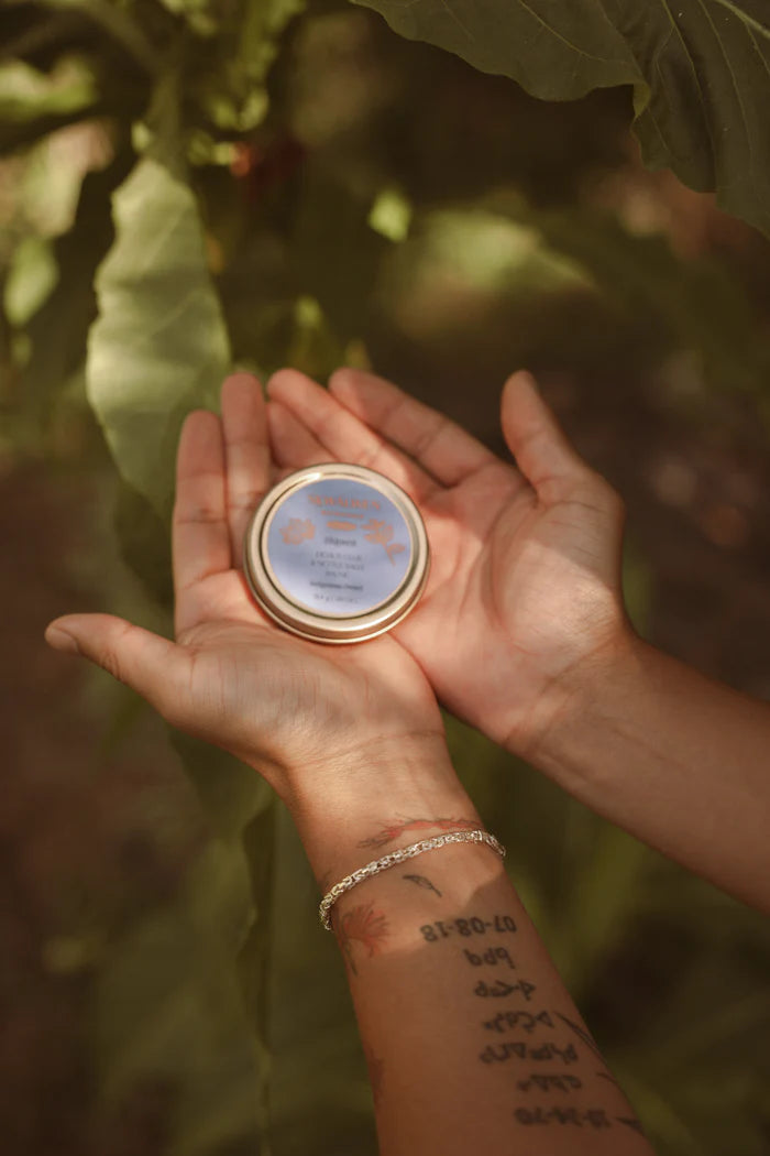 Shkweń (Ocean) Devil's Club & Nettle Salve