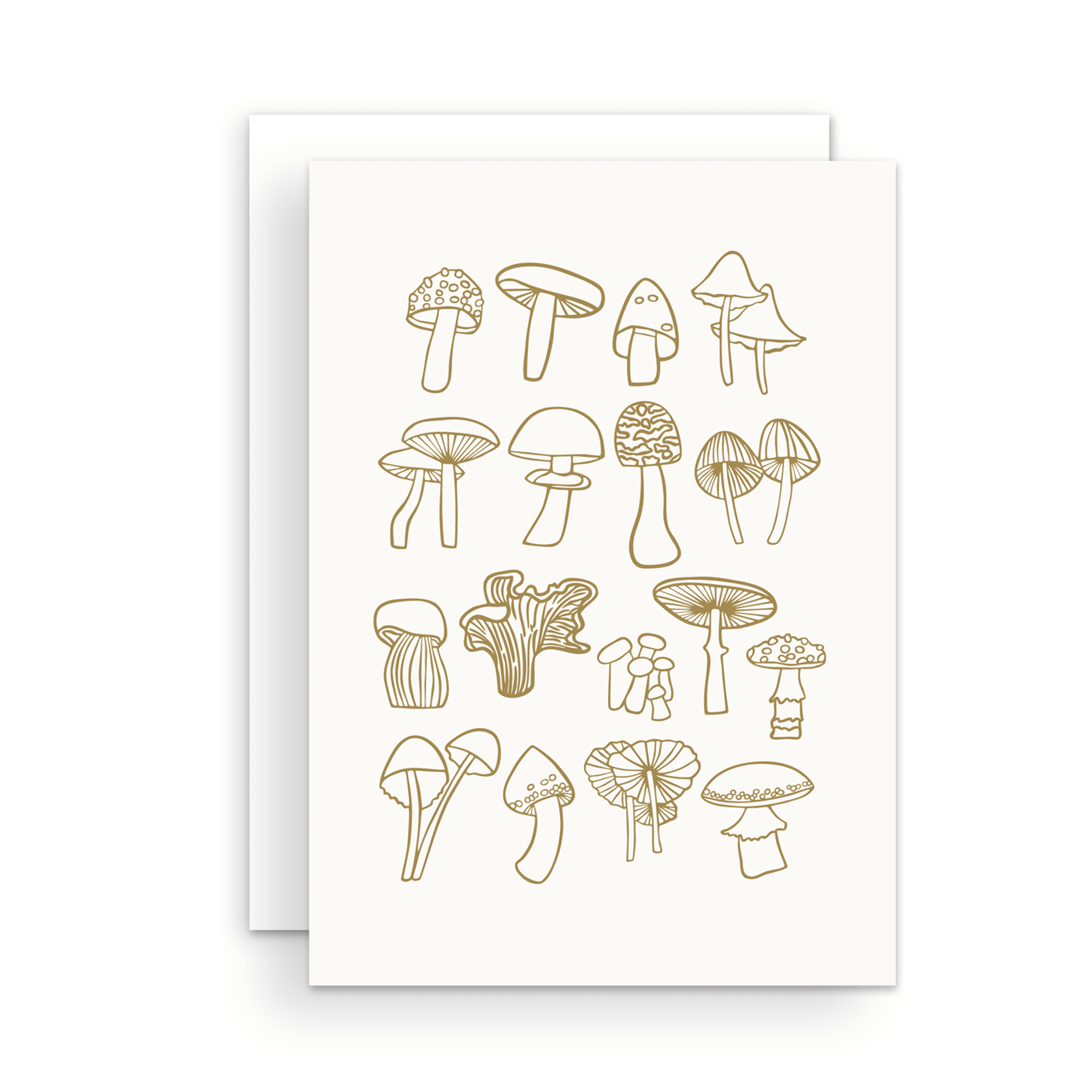 Greeting Card - Mushrooms