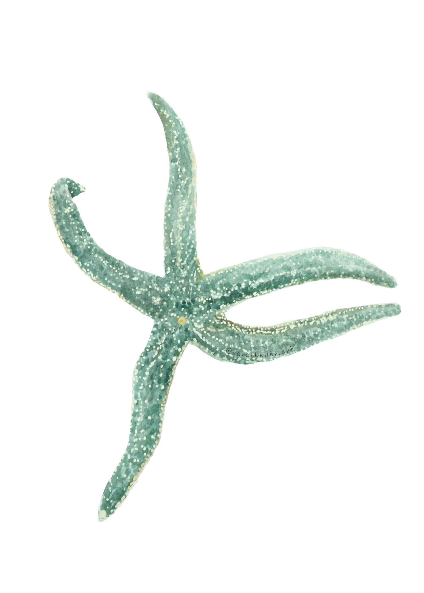 Sticker - Seastar