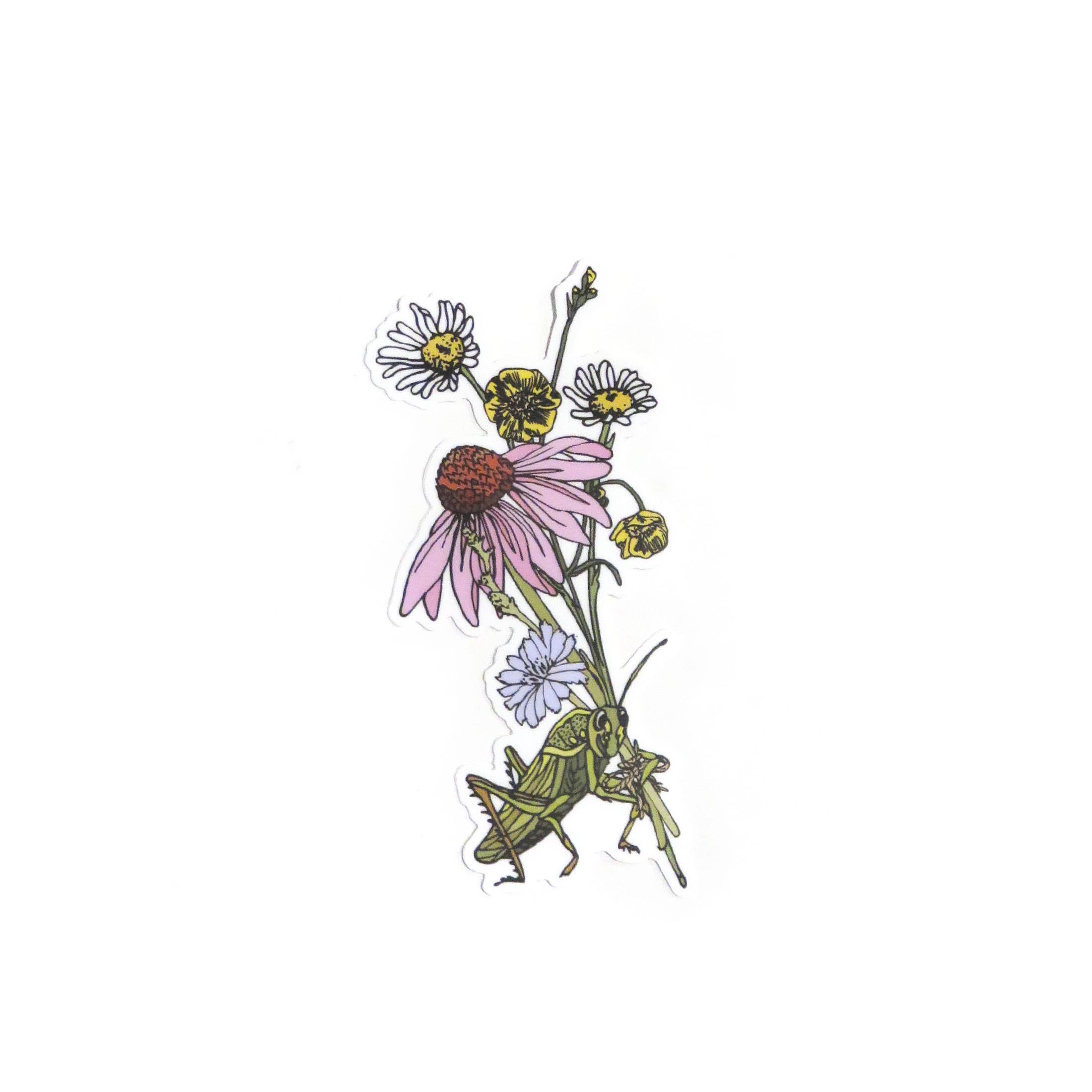 Wild Life Illustration Co - Grasshopper Sticker