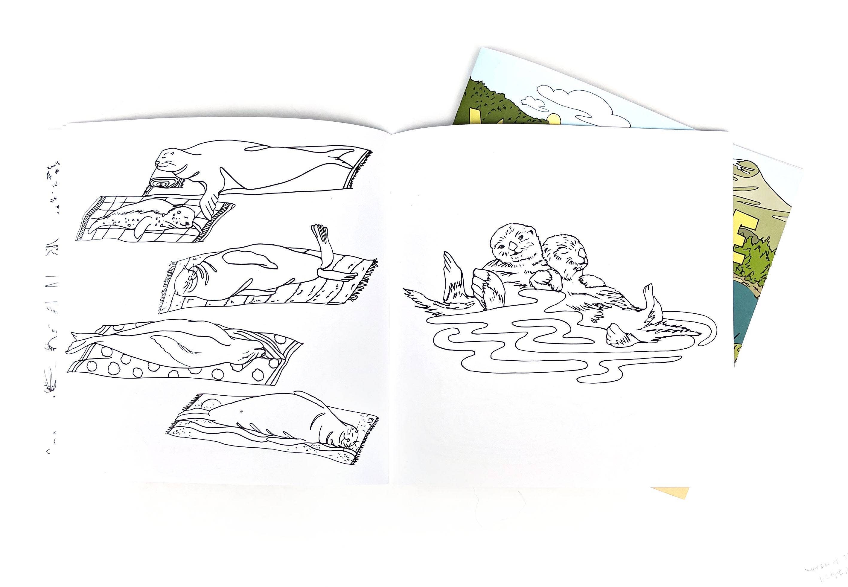 Wild Life Illustration Co - Wild Life Camp Colouring Book