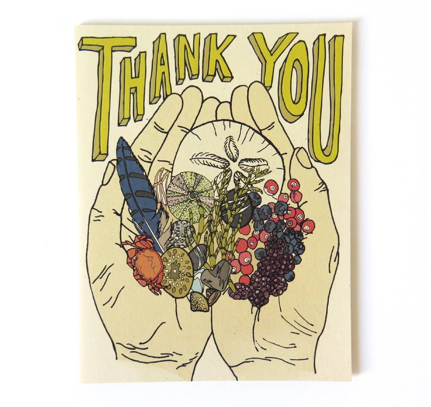 Wild Life Illustration Co - Thank You Card