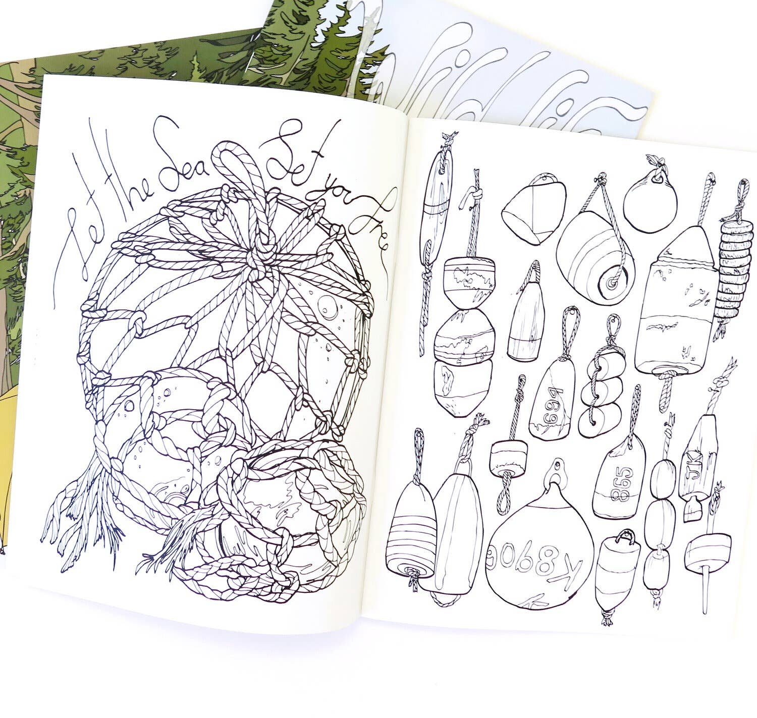 Wild Life Illustration Co - Wild Life Colouring Book