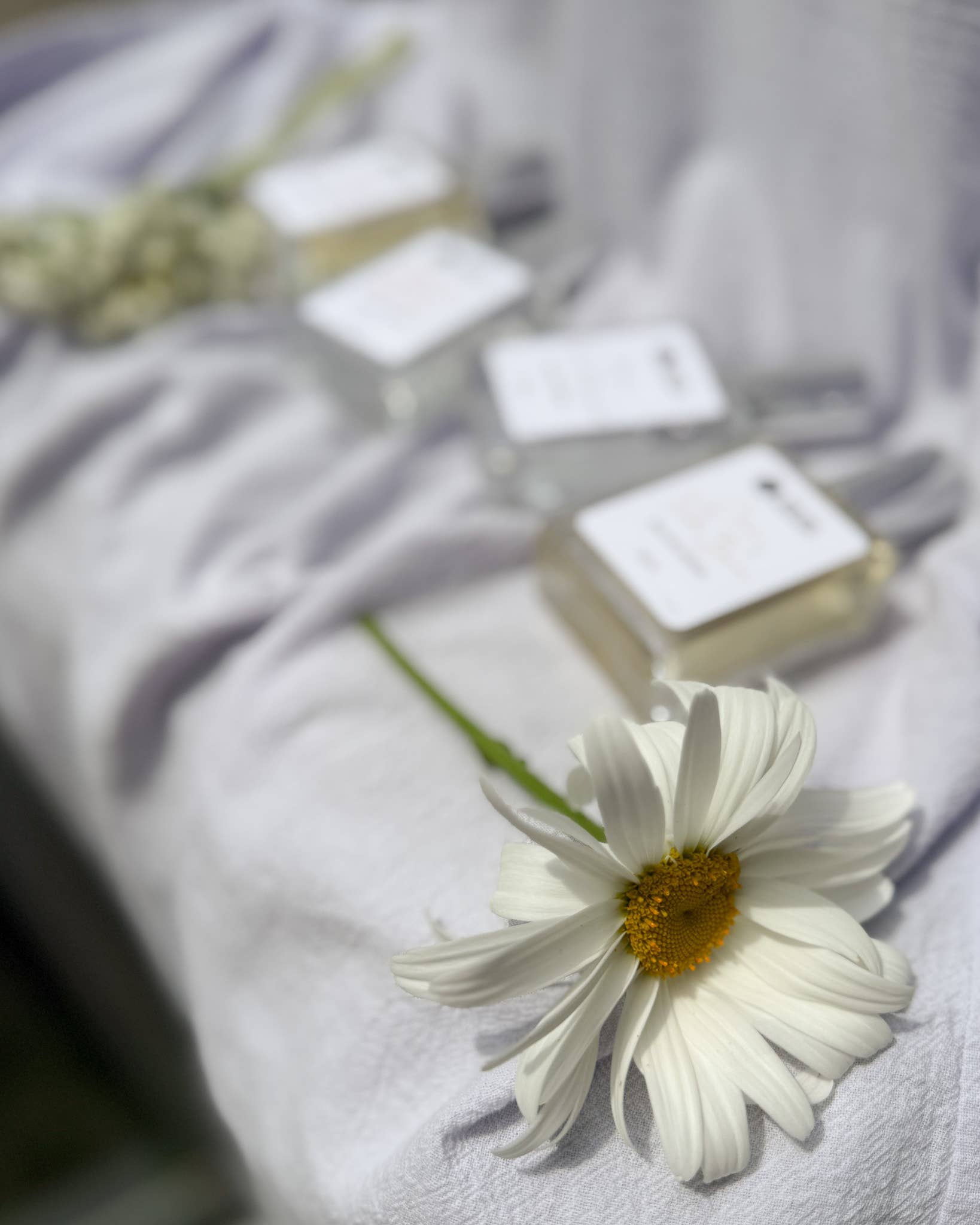 Botanical Perfume - Vanilla + Coconut Sugar