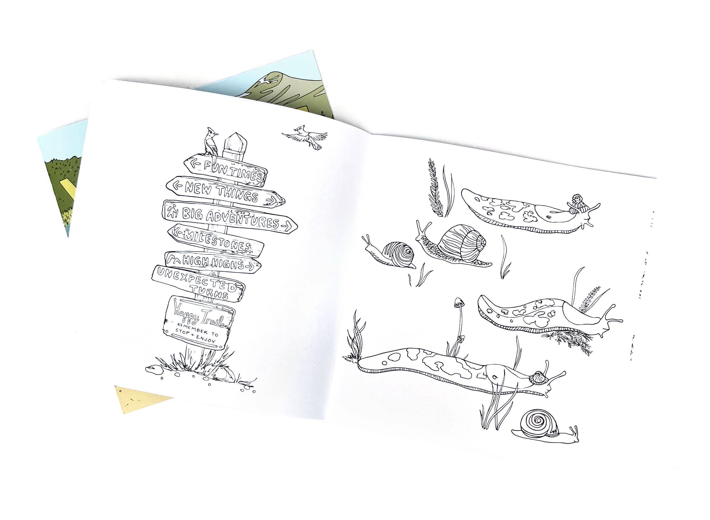 Wild Life Illustration Co - Wild Life Camp Colouring Book