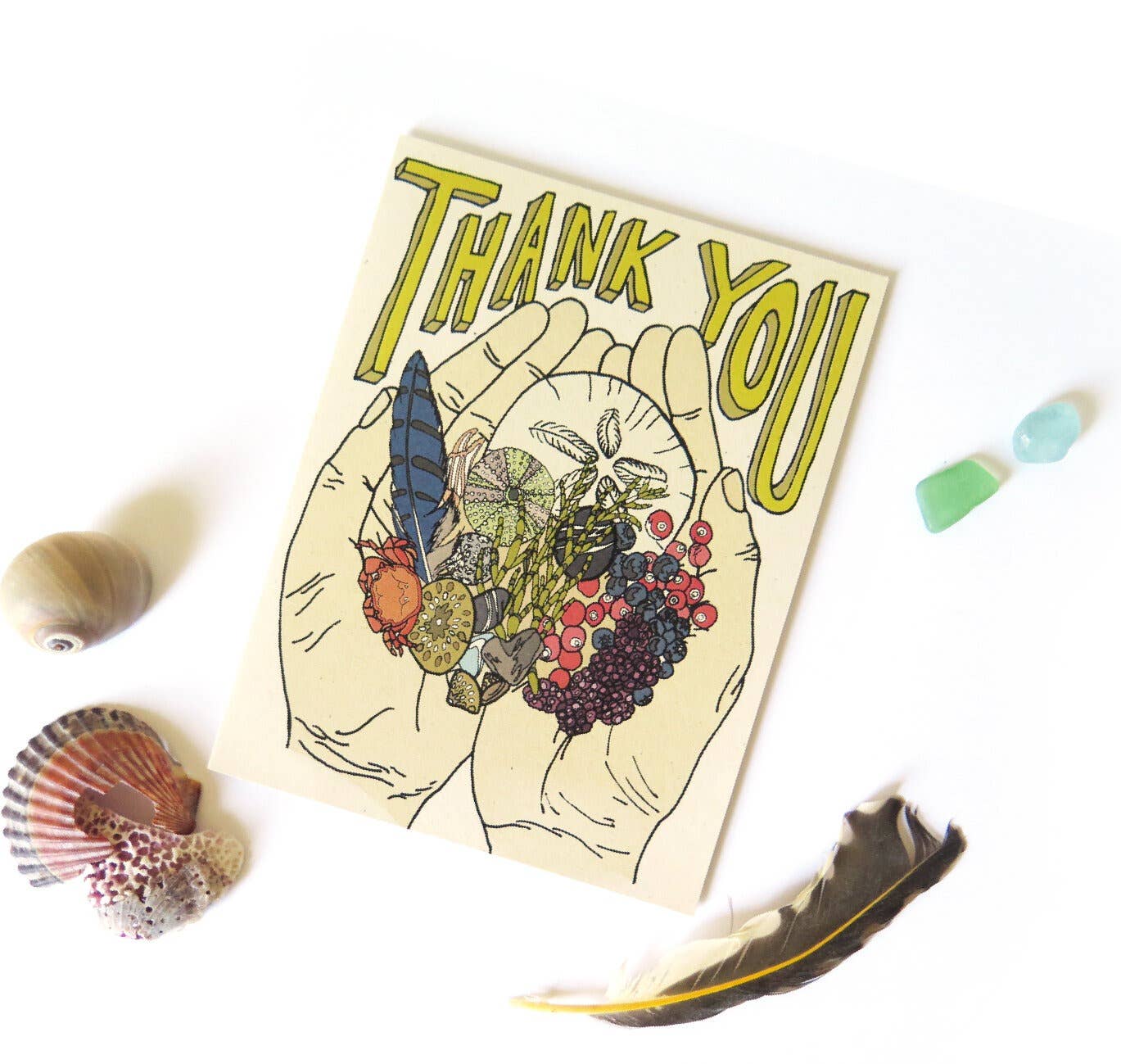 Wild Life Illustration Co - Thank You Card