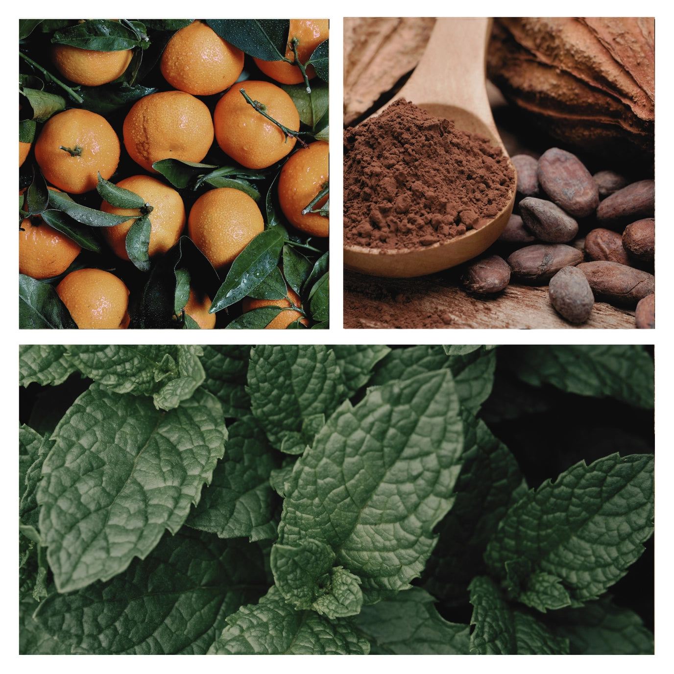 Be Festive Simmer Mist | Natural Peppermint Cocoa Room + Linen Spray