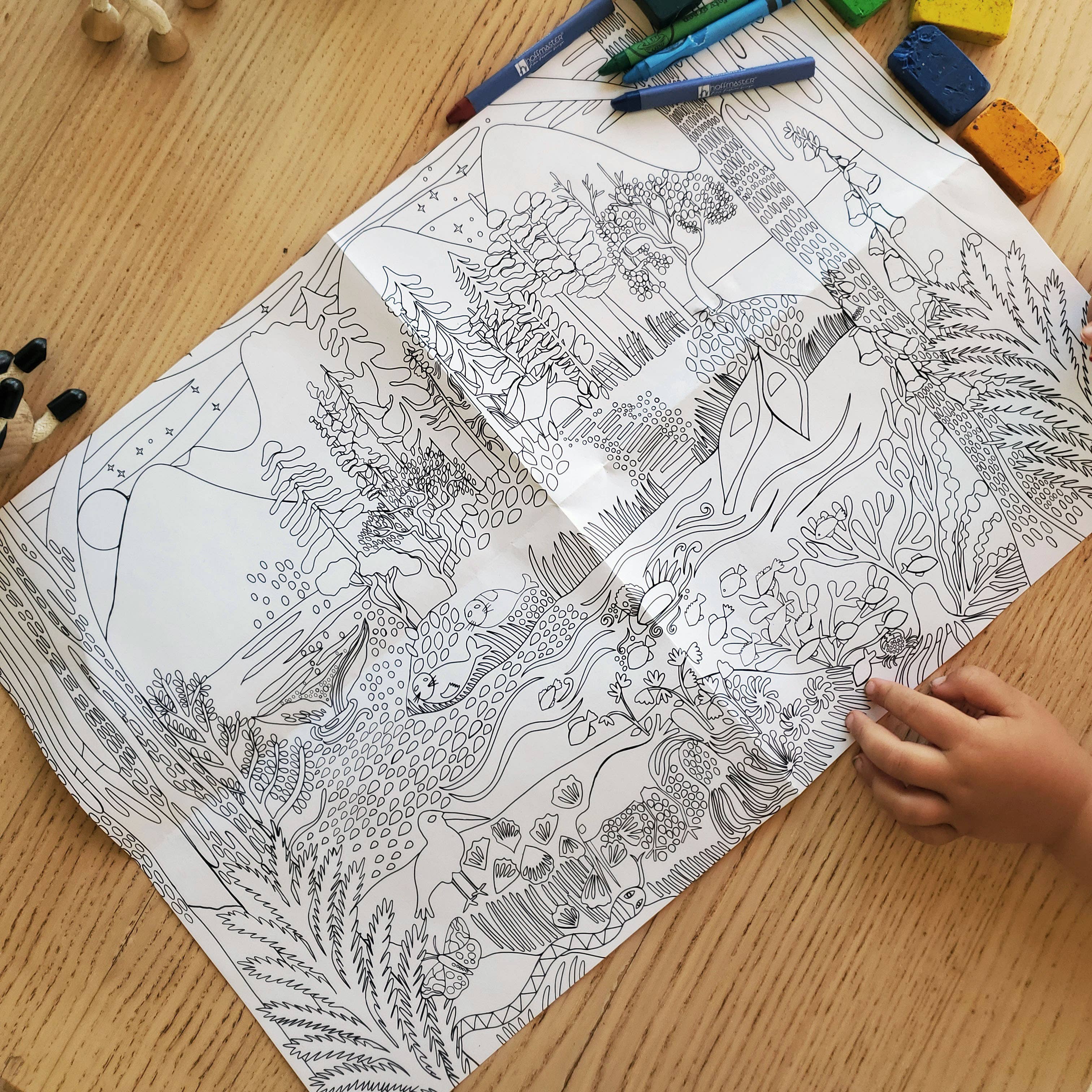 Colouring Poster - Pacific Northwest