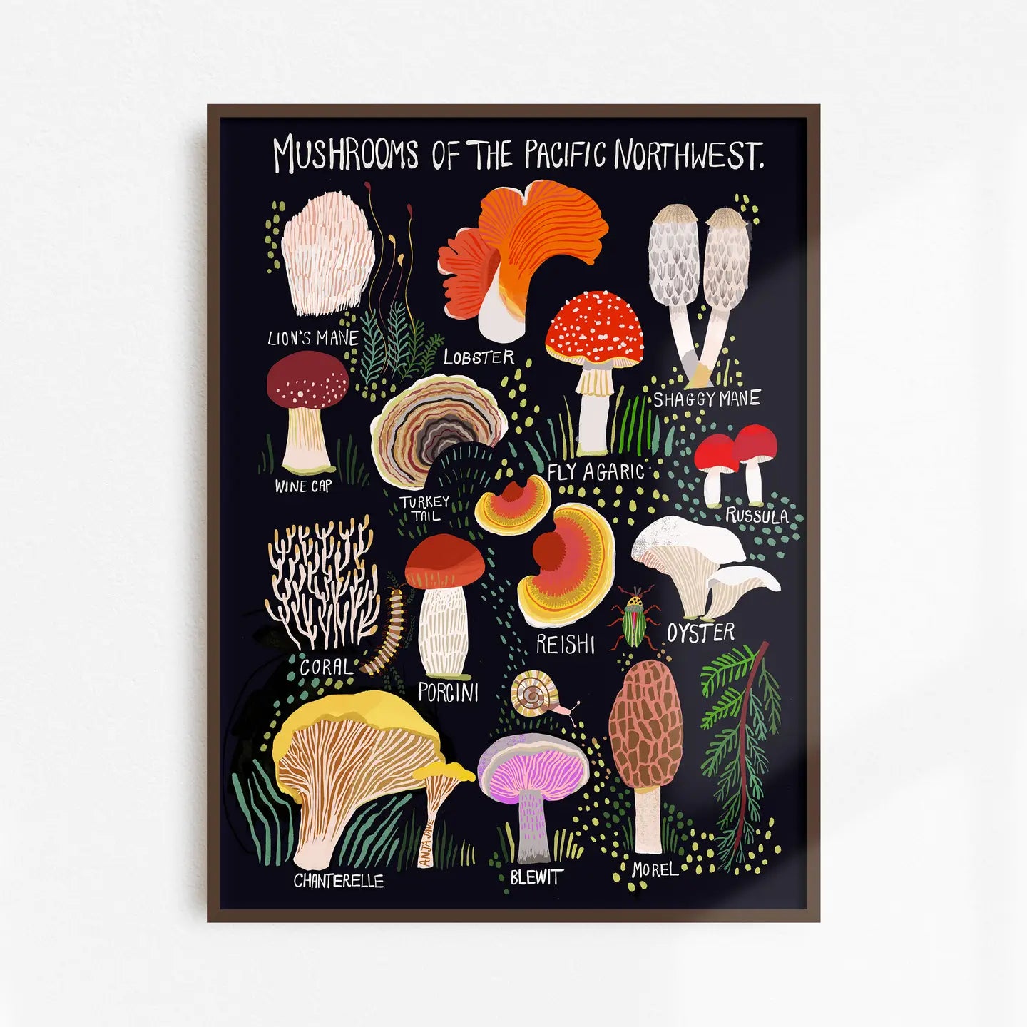 Anja Jane Illustrations - Art Print - Mushrooms of the Pacific Northwest