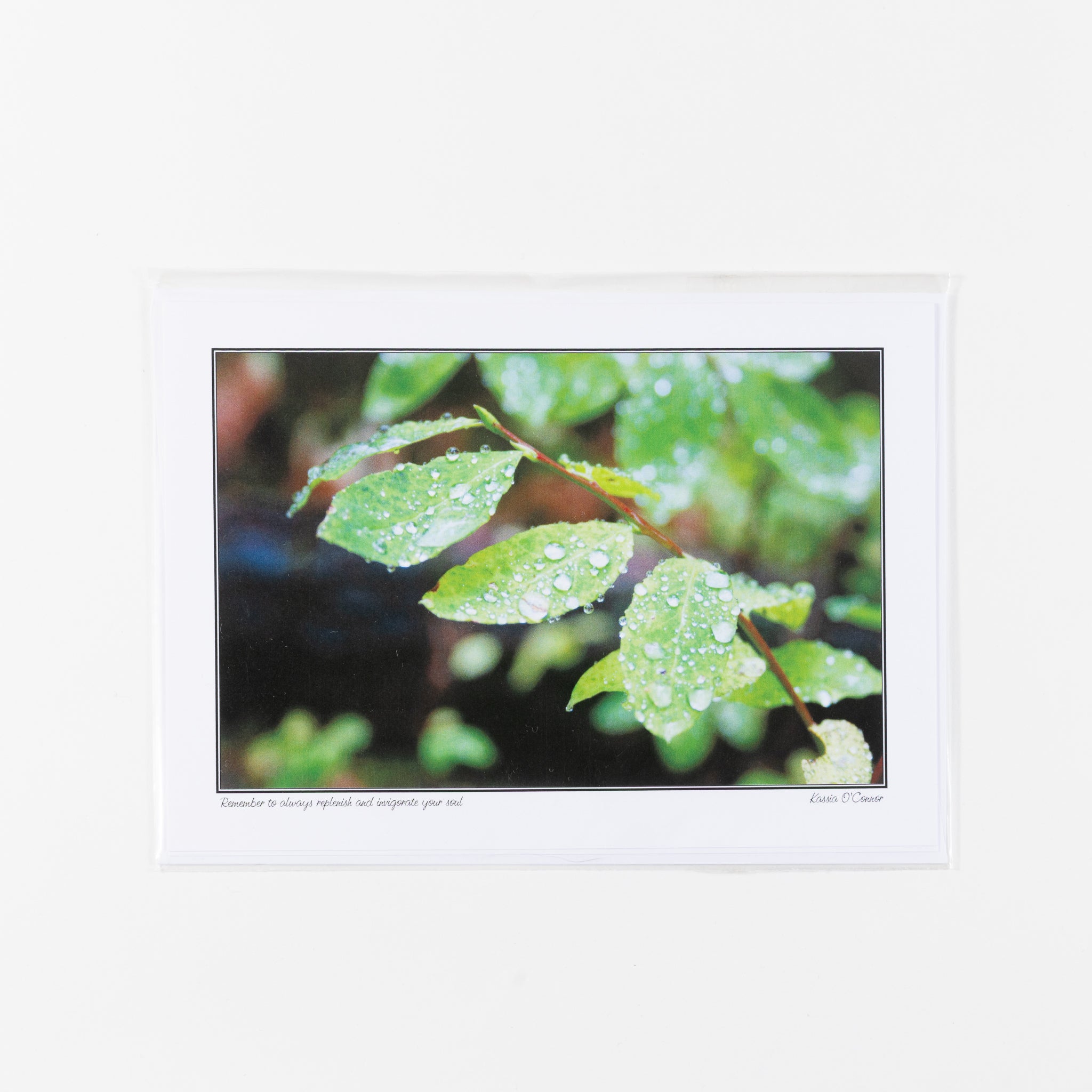 Greeting Card - Leaves