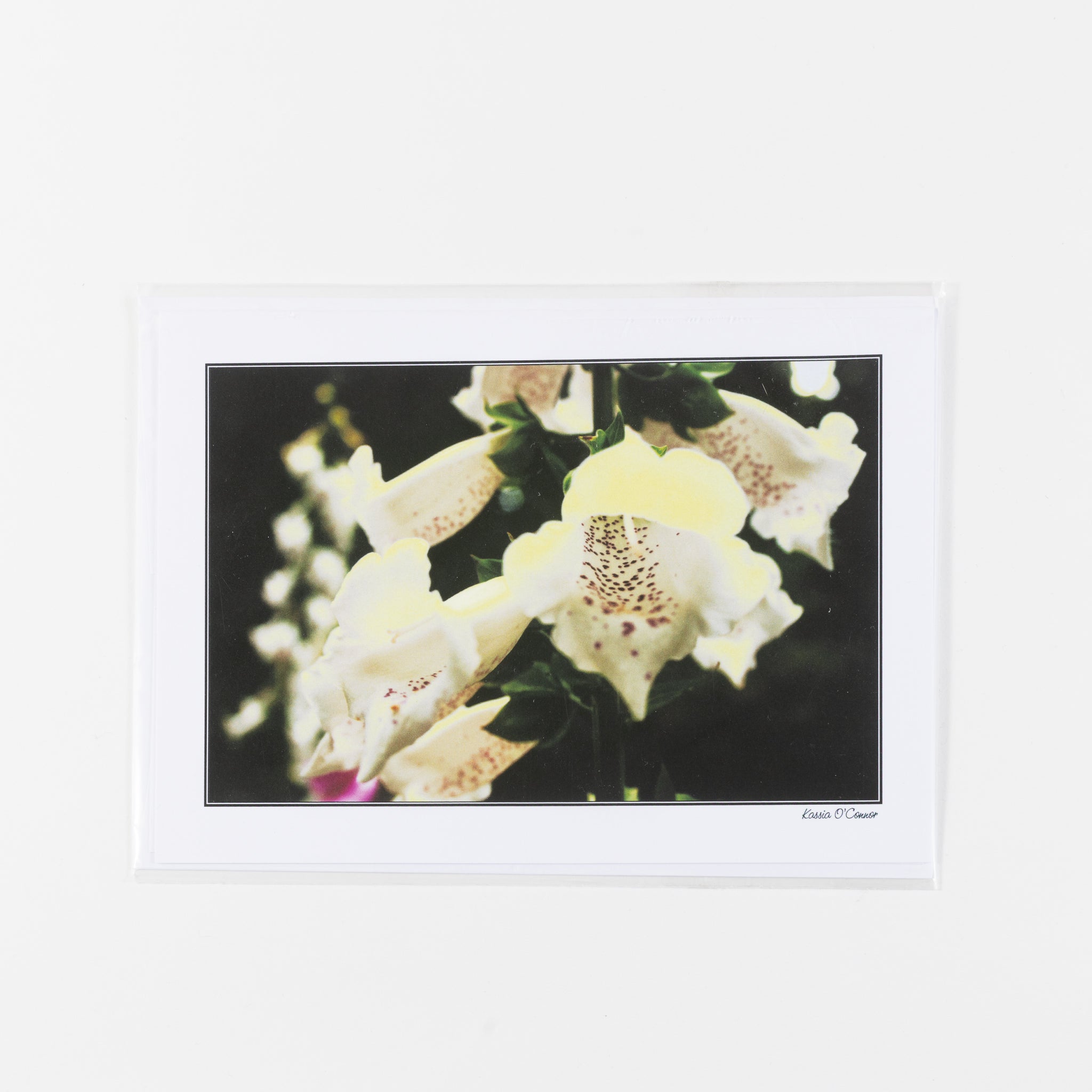 Greeting Card - Foxglove