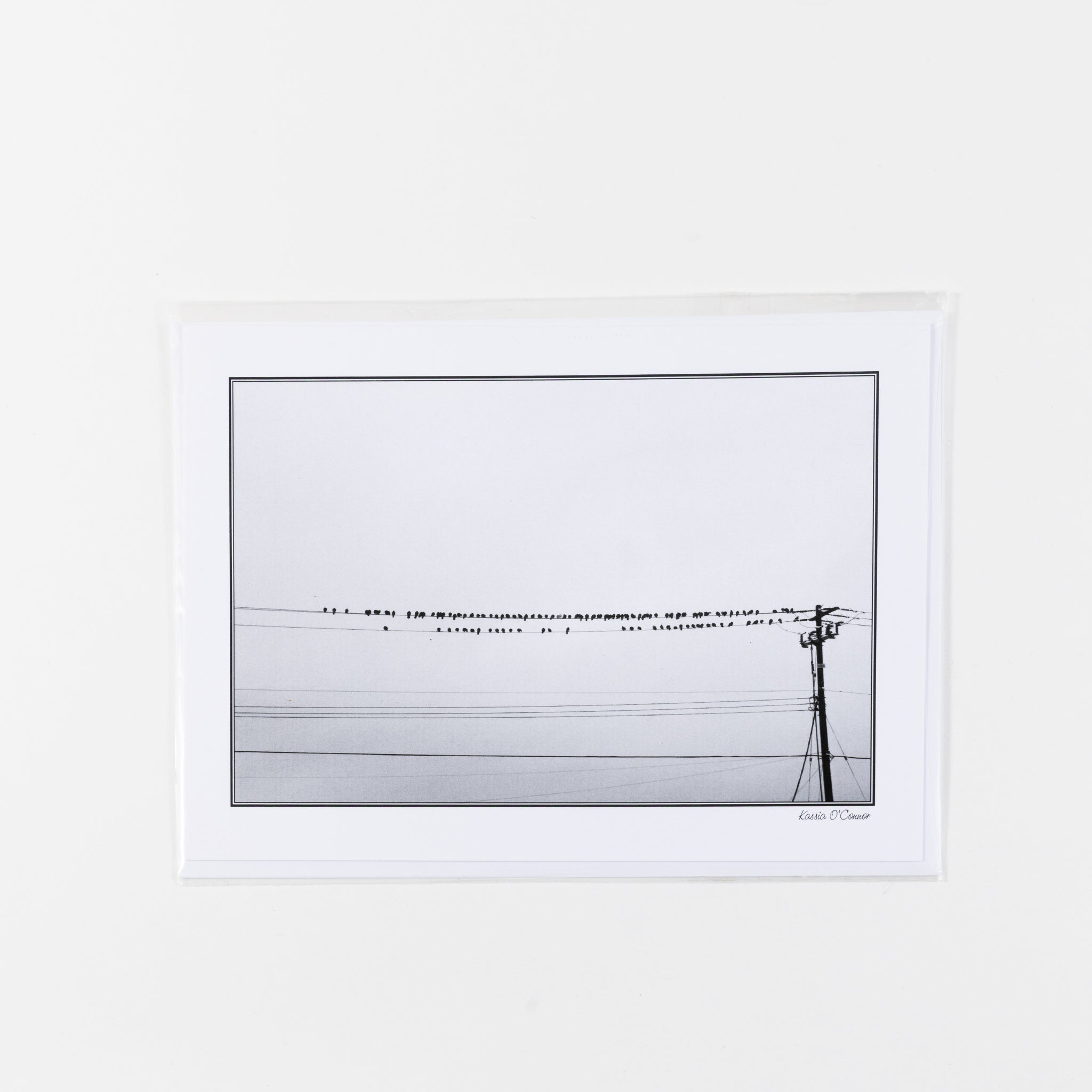 Greeting Card - Birds on a wire