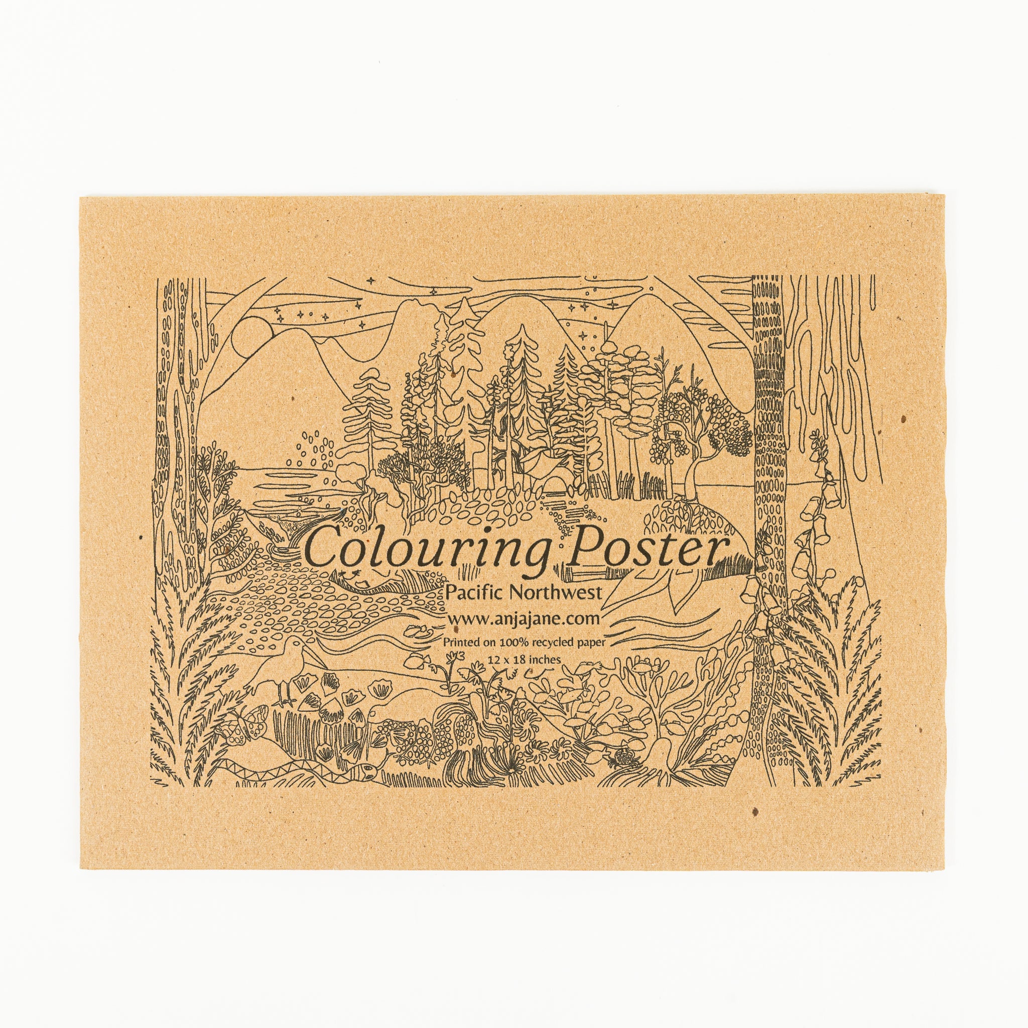 Colouring Poster - Pacific Northwest