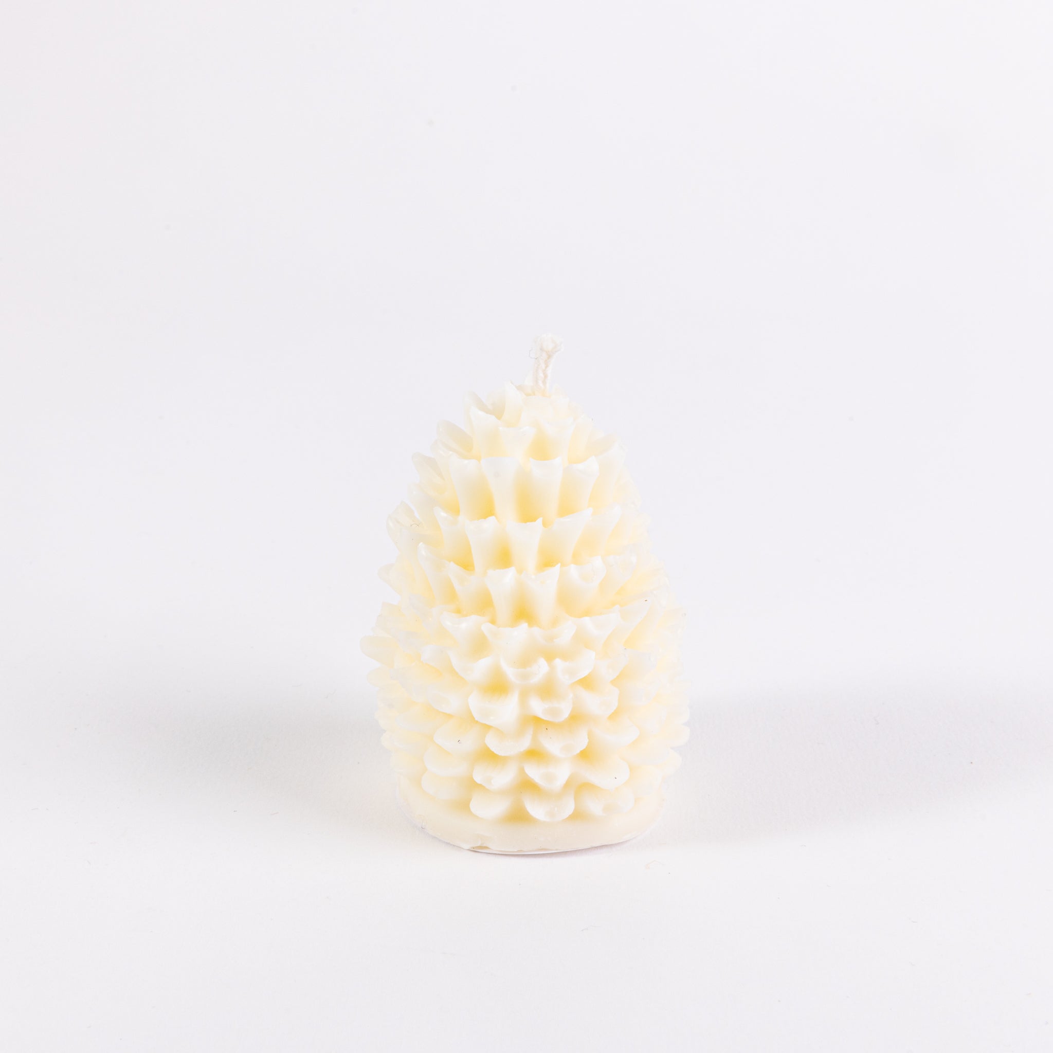 Soy Candle - Pine Cone