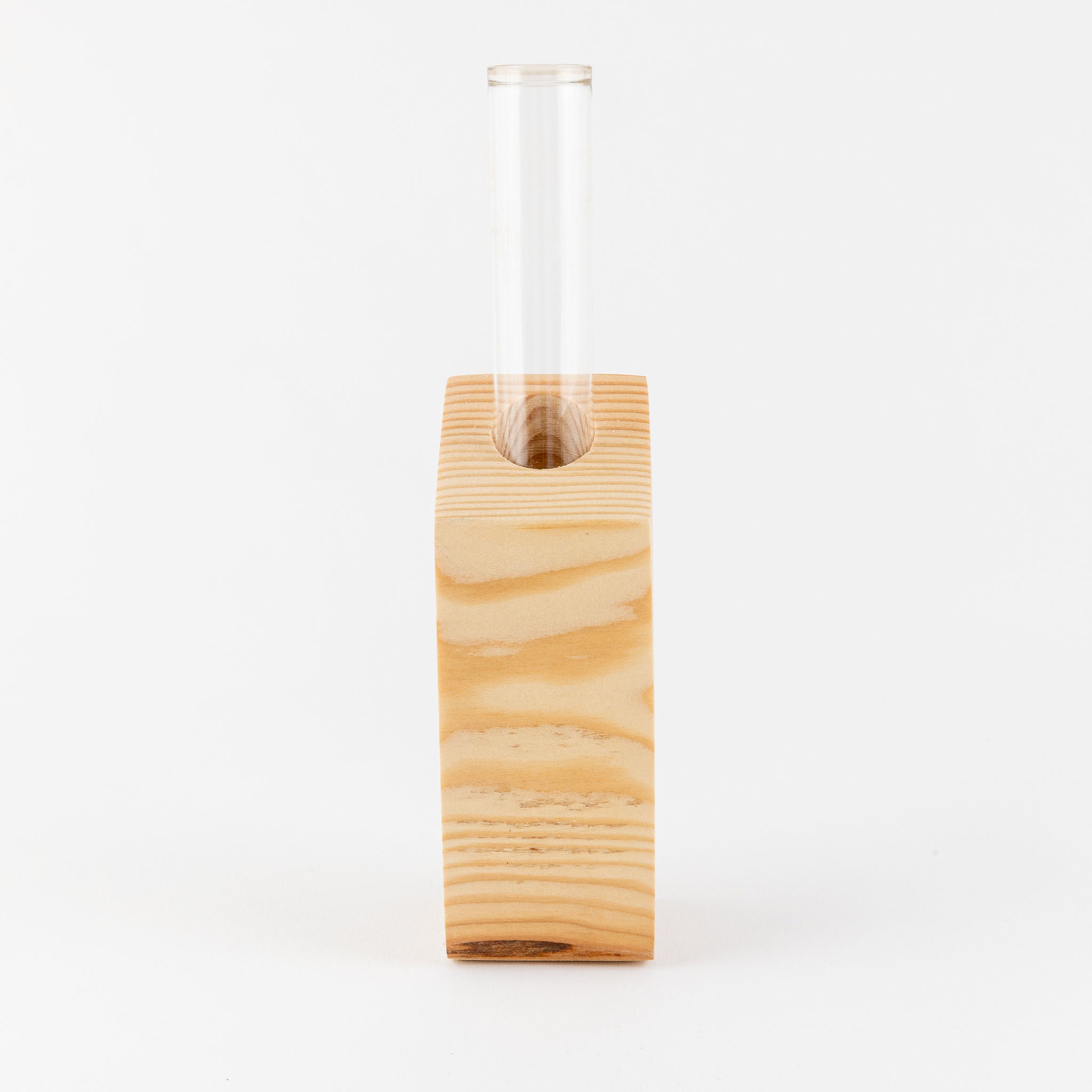 Vase - Propagation Vase