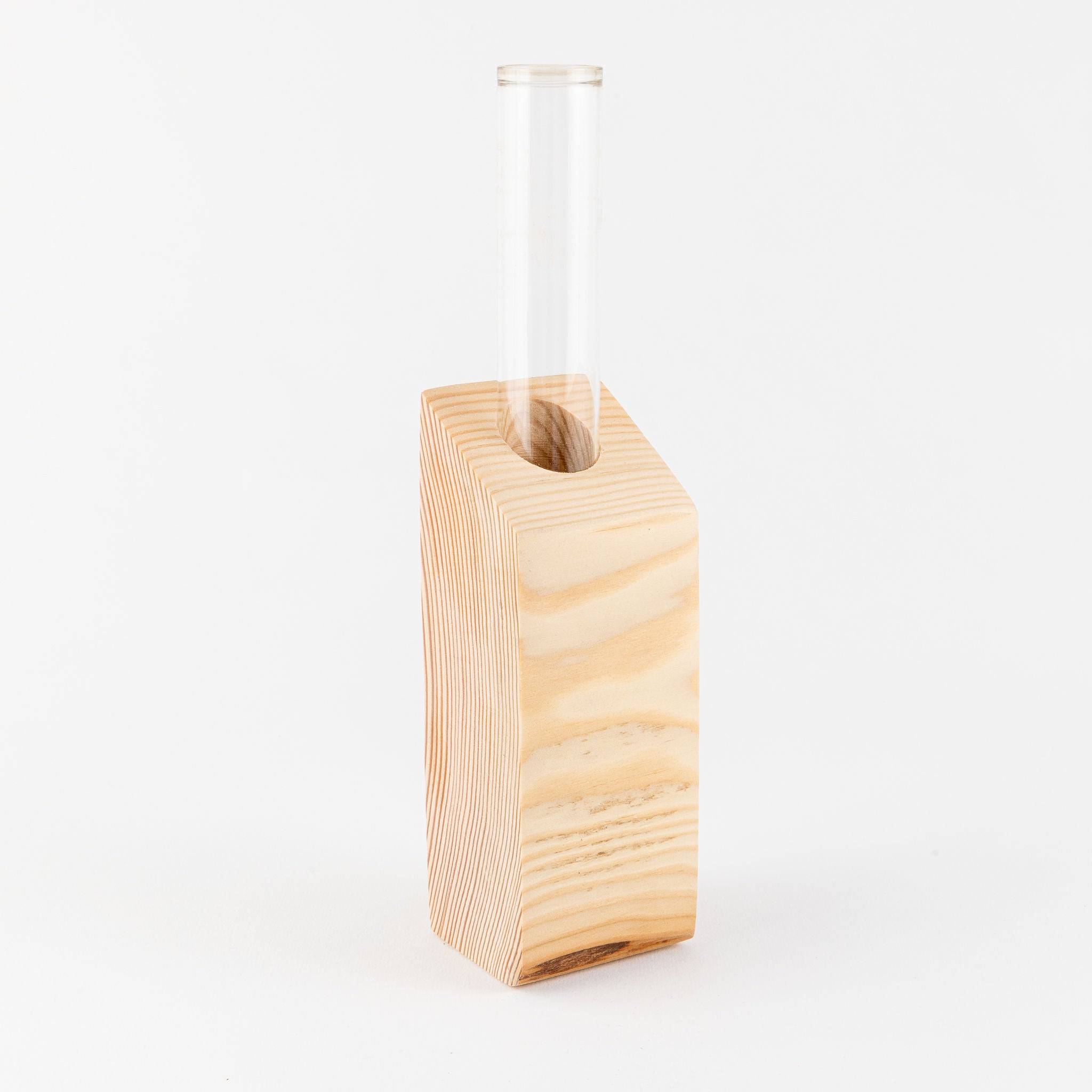 Vase - Propagation Vase