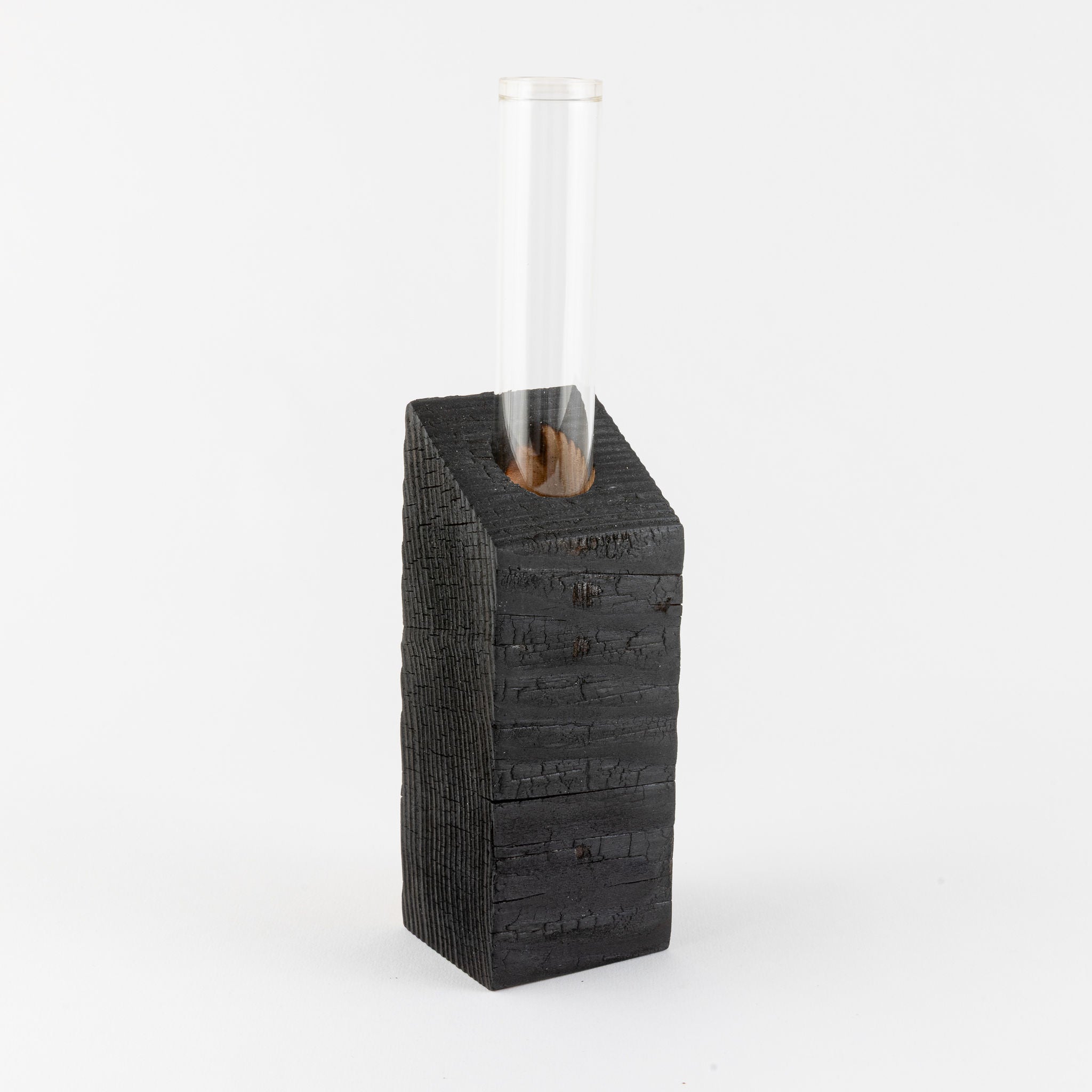Vase - Propagation Vase