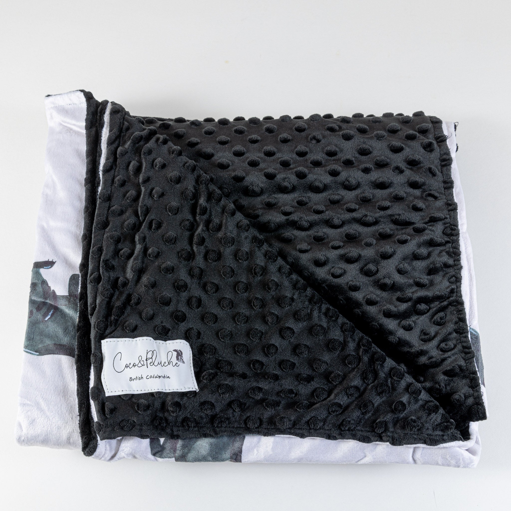 Minky blanket - LARGE