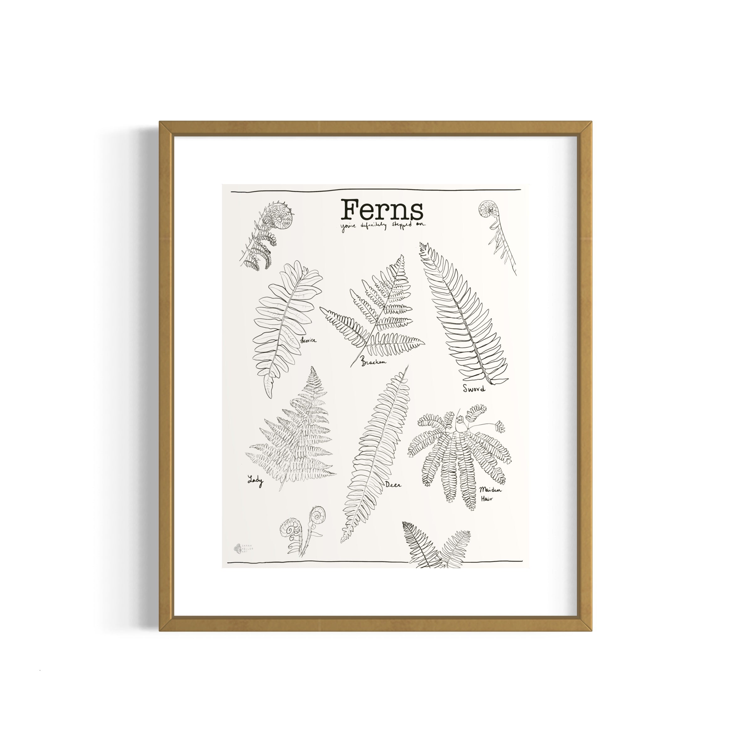 Art Print - Ferns