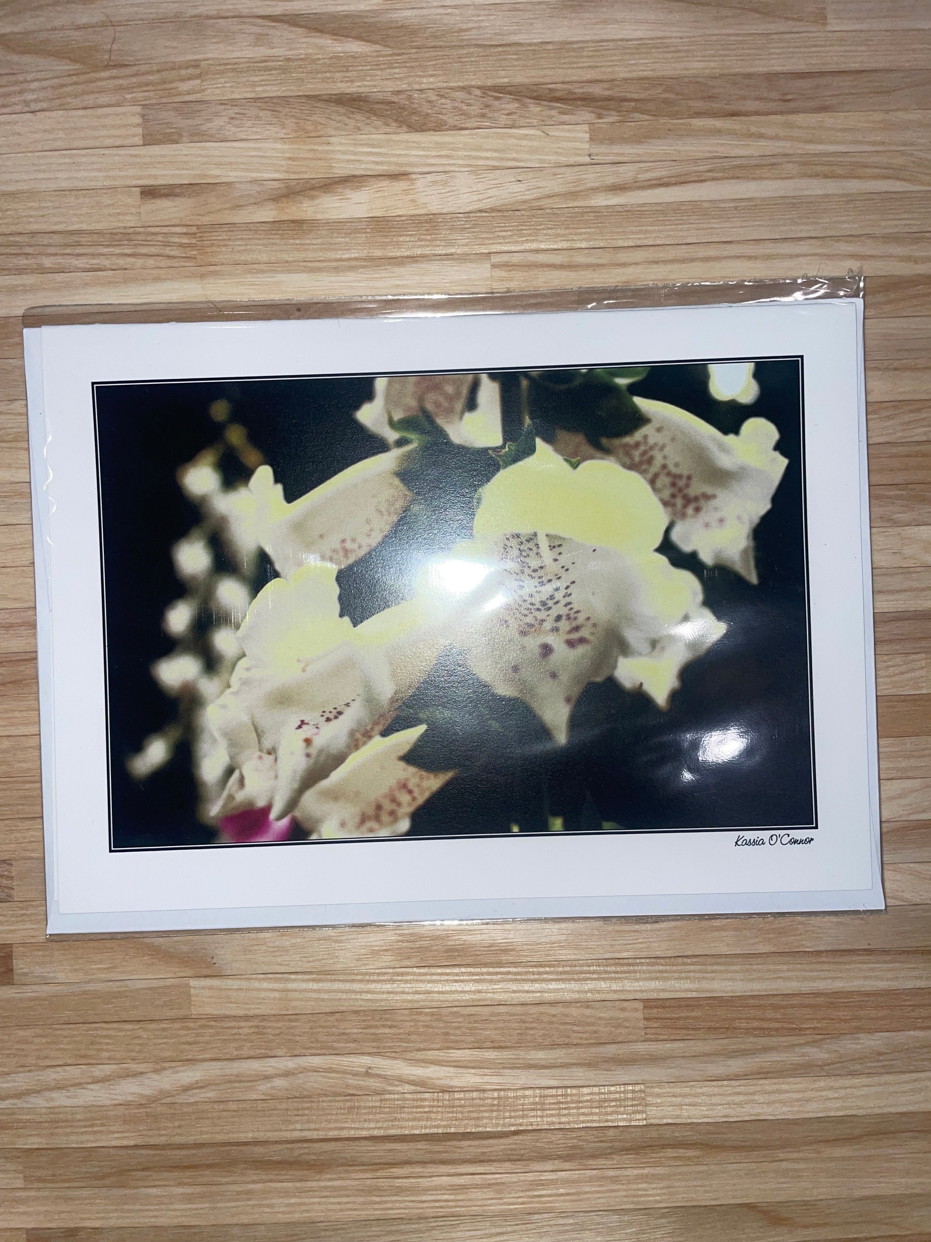 Greeting Card - Foxglove