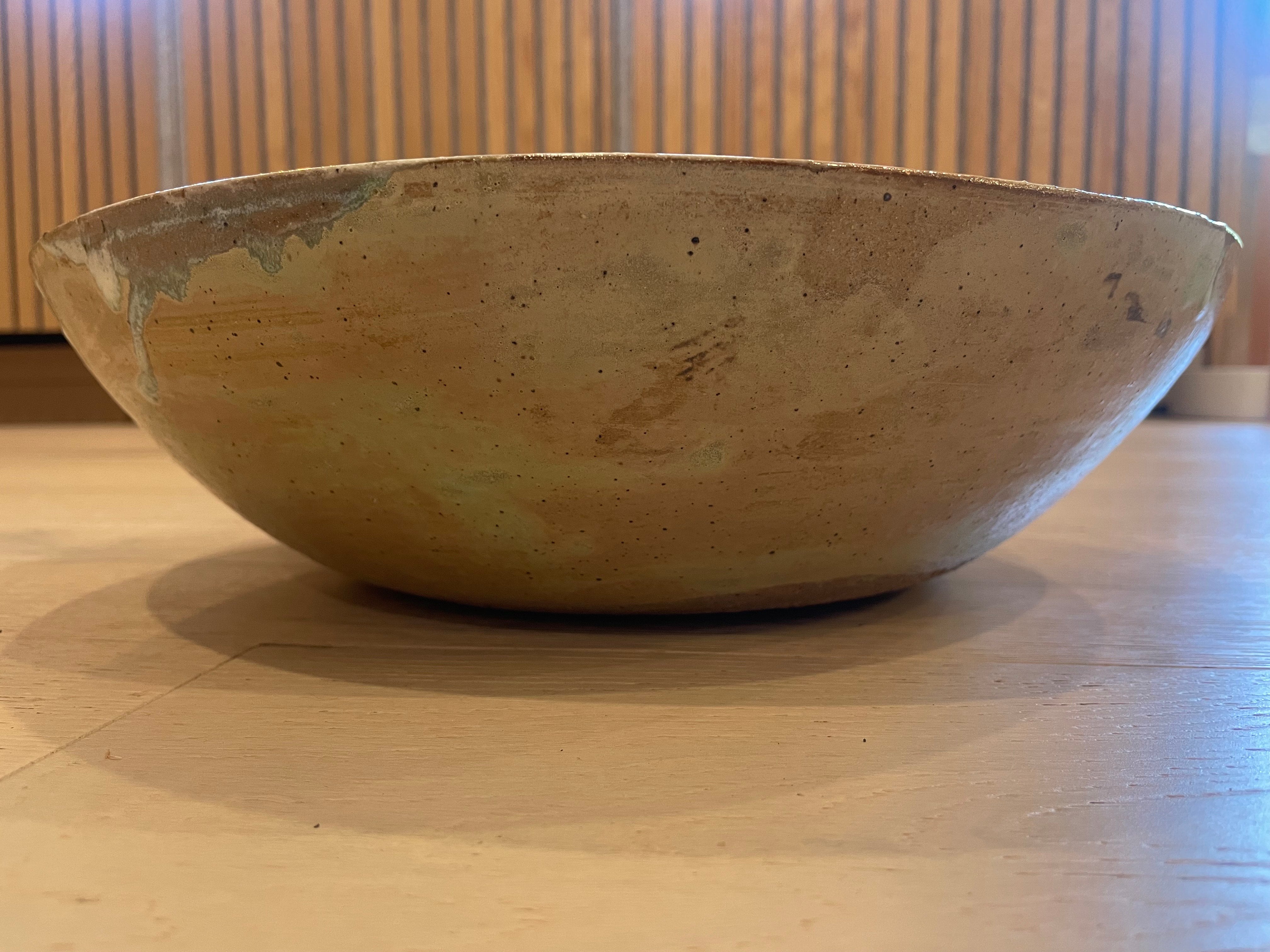 Pioneer Copper Green Large Bowl